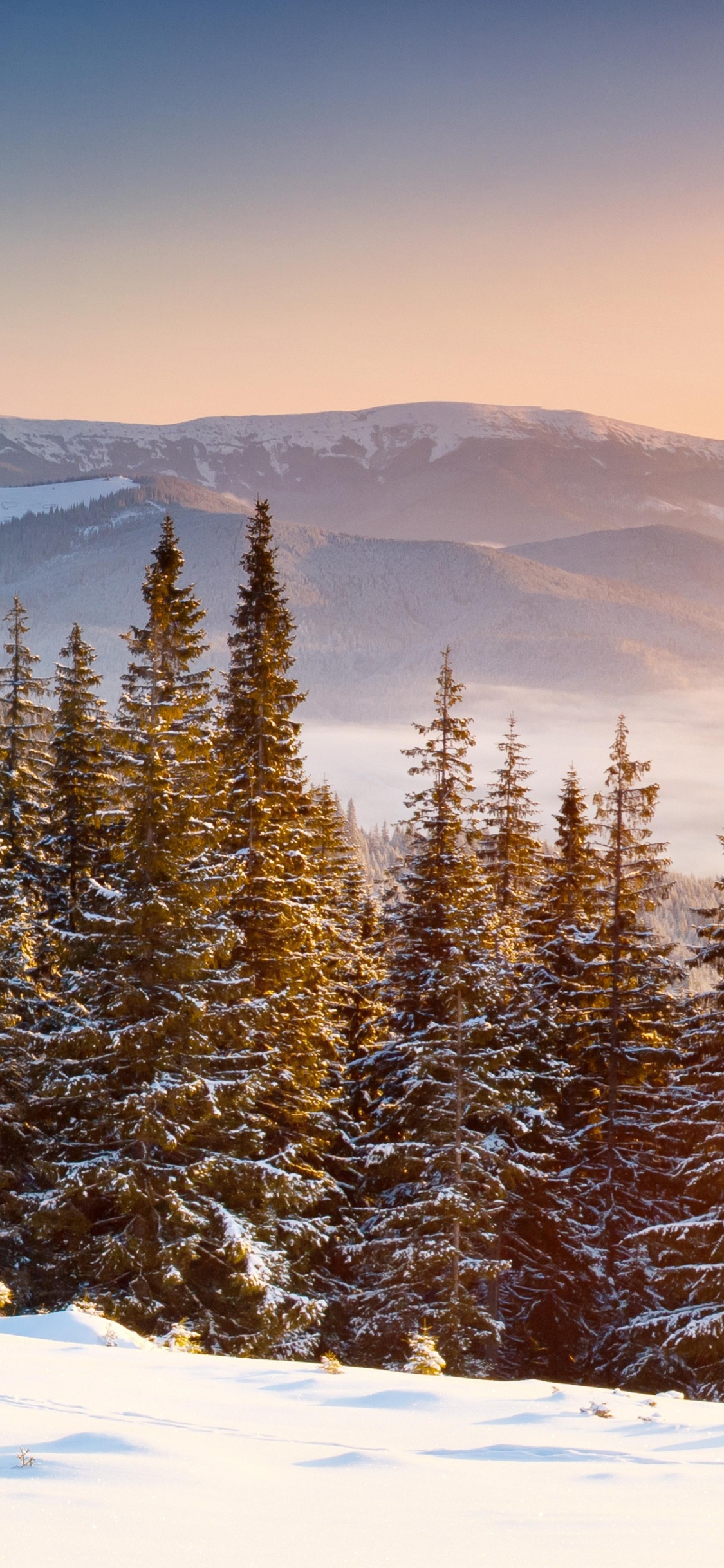 Обои снег, зима, дерево, гора, горный рельеф в разрешении 1125x2436