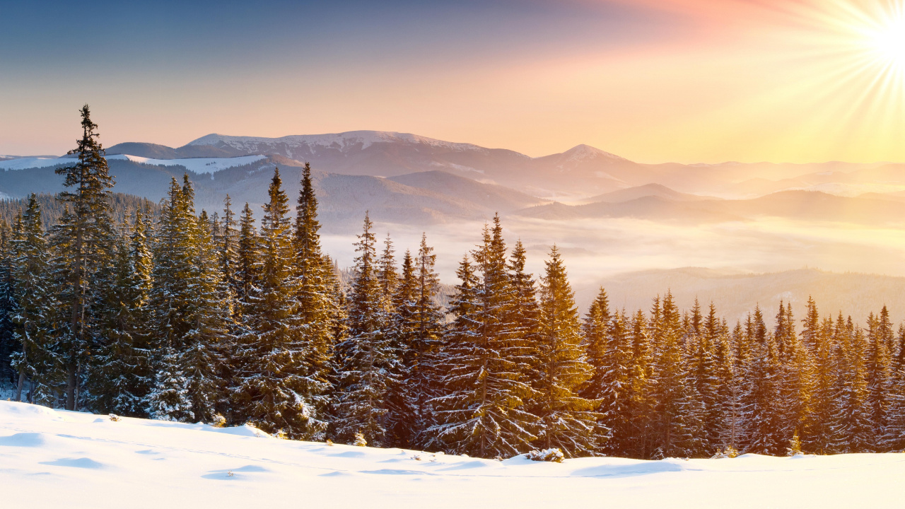 Обои снег, зима, дерево, гора, горный рельеф в разрешении 1280x720