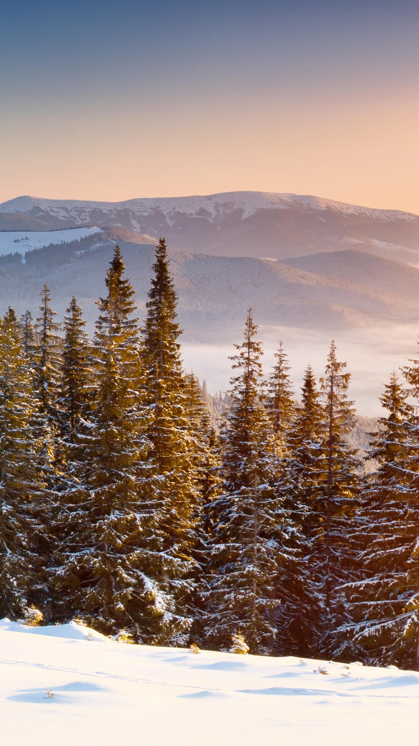 Обои снег, зима, дерево, гора, горный рельеф в разрешении 1440x2560