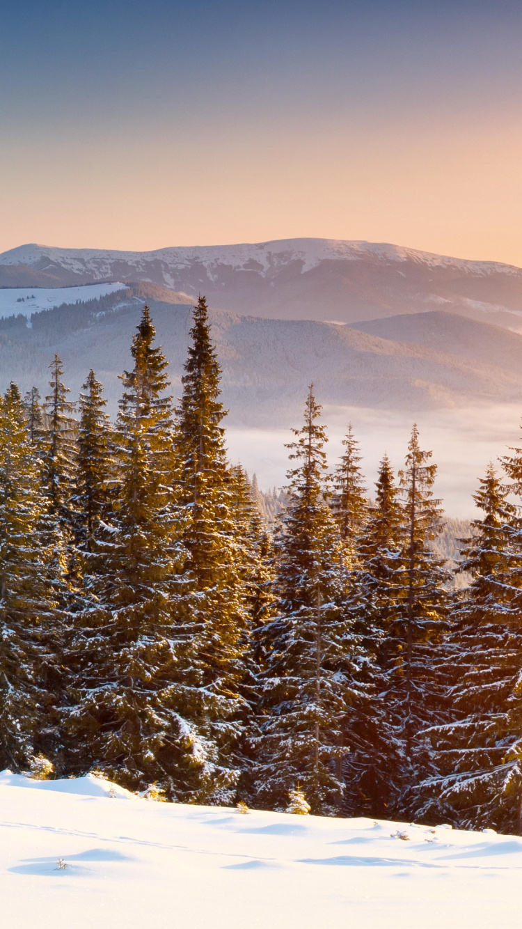 Обои снег, зима, дерево, гора, горный рельеф в разрешении 750x1334