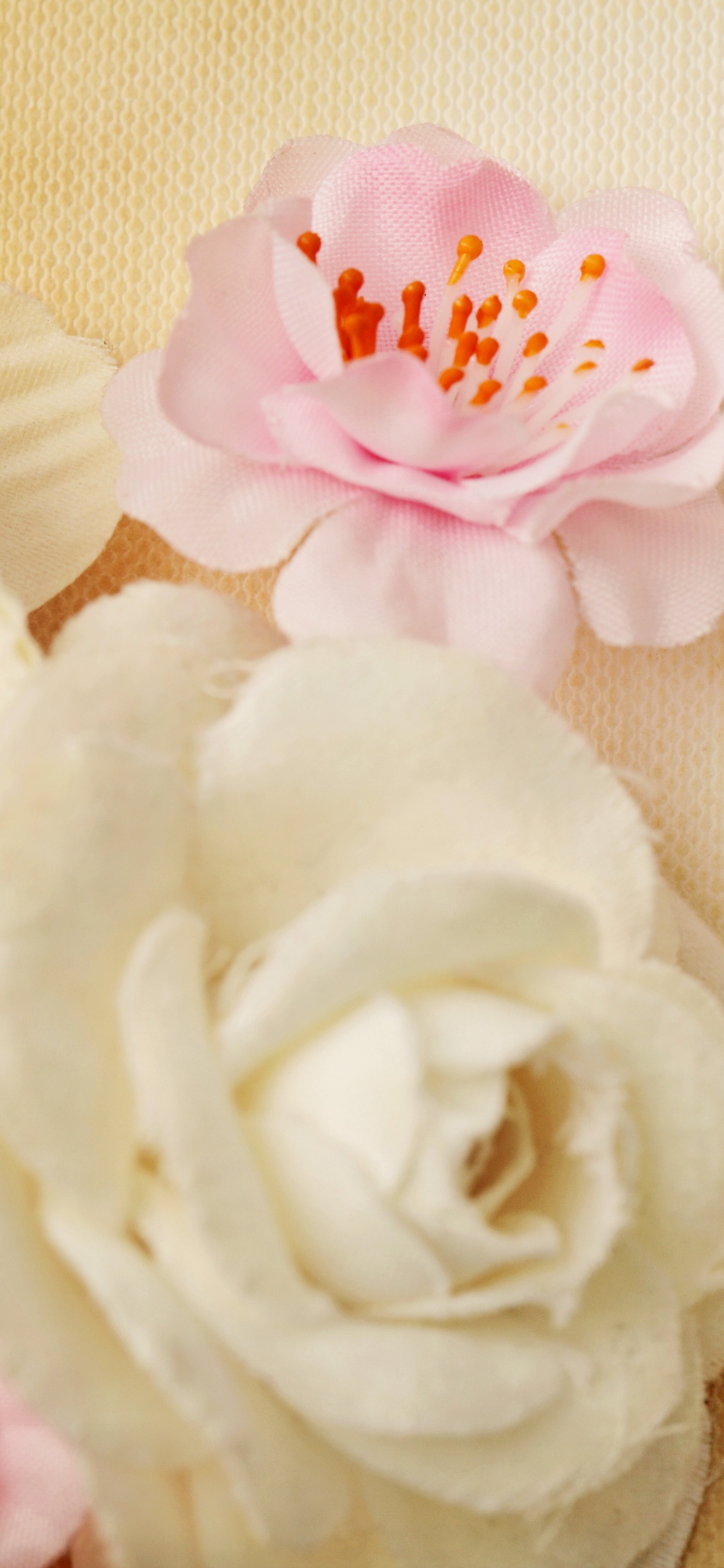 Обои цветок, обручальное кольцо, кольцо, свадьба, розовый в разрешении 1242x2688