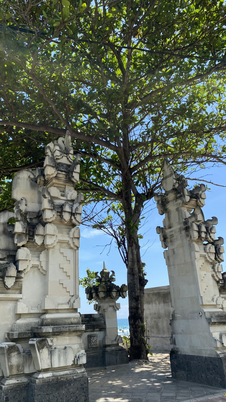 Обои Индонезия, бали, дерево, статуя, древняя история в разрешении 750x1334