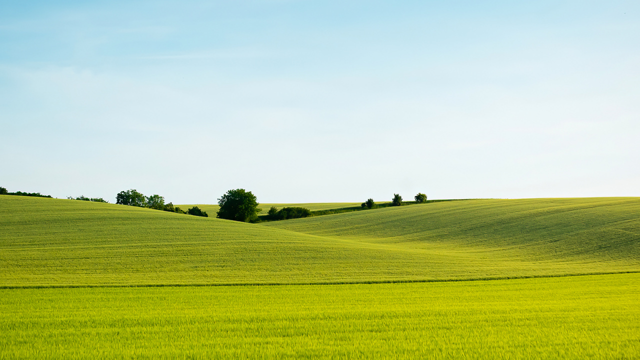 Обои китайский язык, растение, Люди в природе, природный ландшафт, облако в разрешении 1280x720