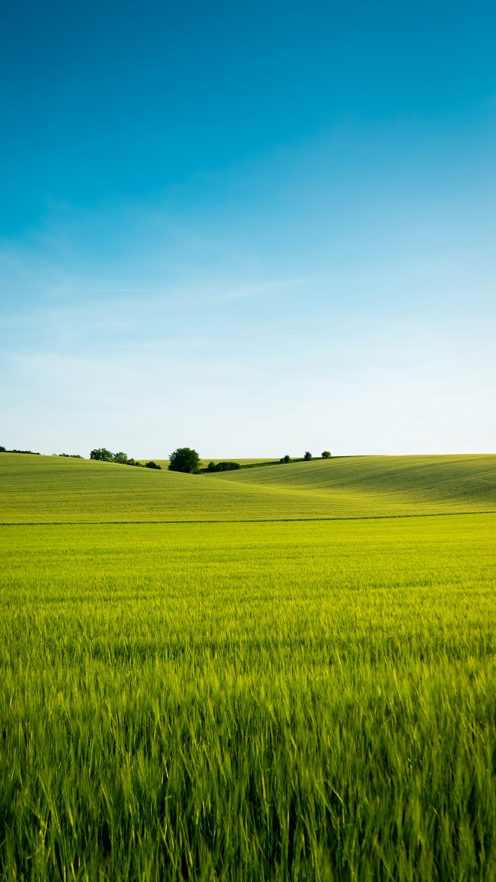 Обои китайский язык, растение, Люди в природе, природный ландшафт, облако в разрешении 720x1280