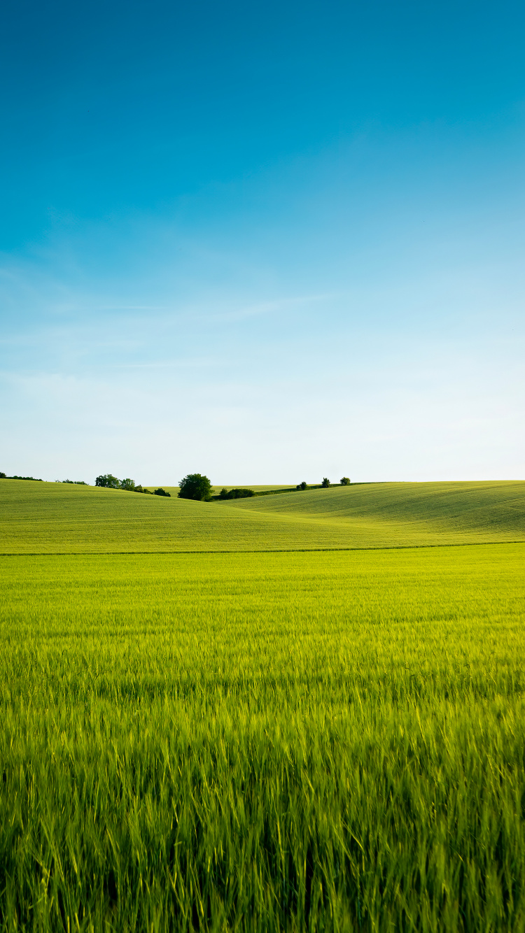 Обои китайский язык, растение, Люди в природе, природный ландшафт, облако в разрешении 750x1334