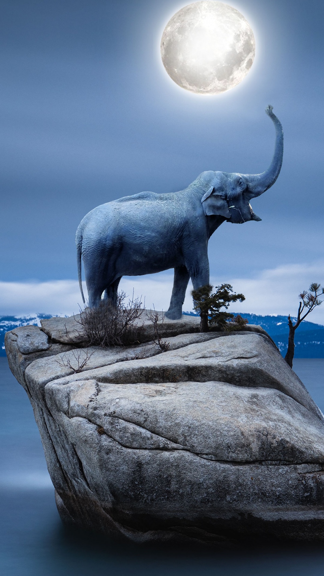 Обои вода, свет, облако, скульптура, растение в разрешении 1080x1920