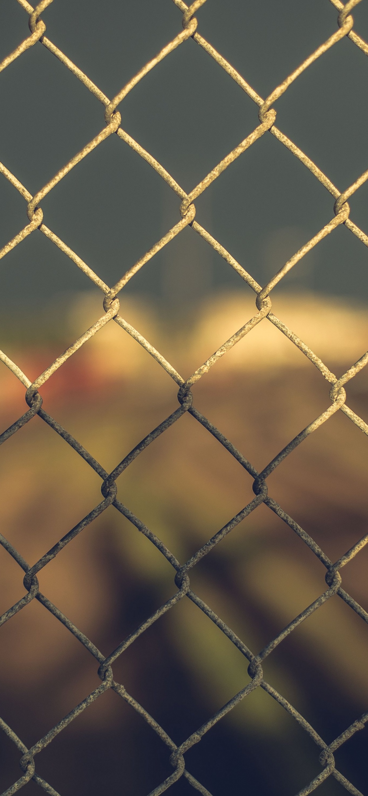 Обои ячейка, ограждать провода, узор, металл, свет в разрешении 1242x2688