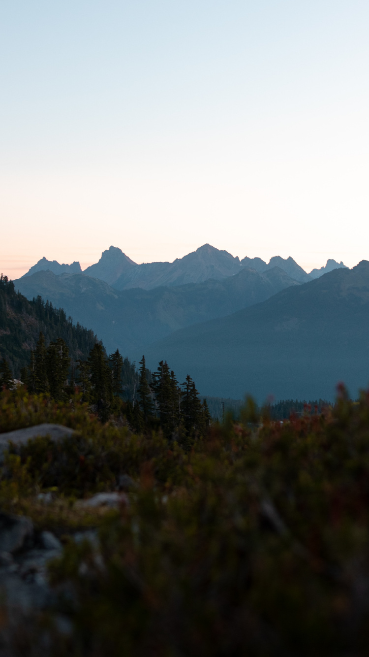 Обои горный хребет, горный рельеф, хребет, МаунтБейкер, лист в разрешении 750x1334
