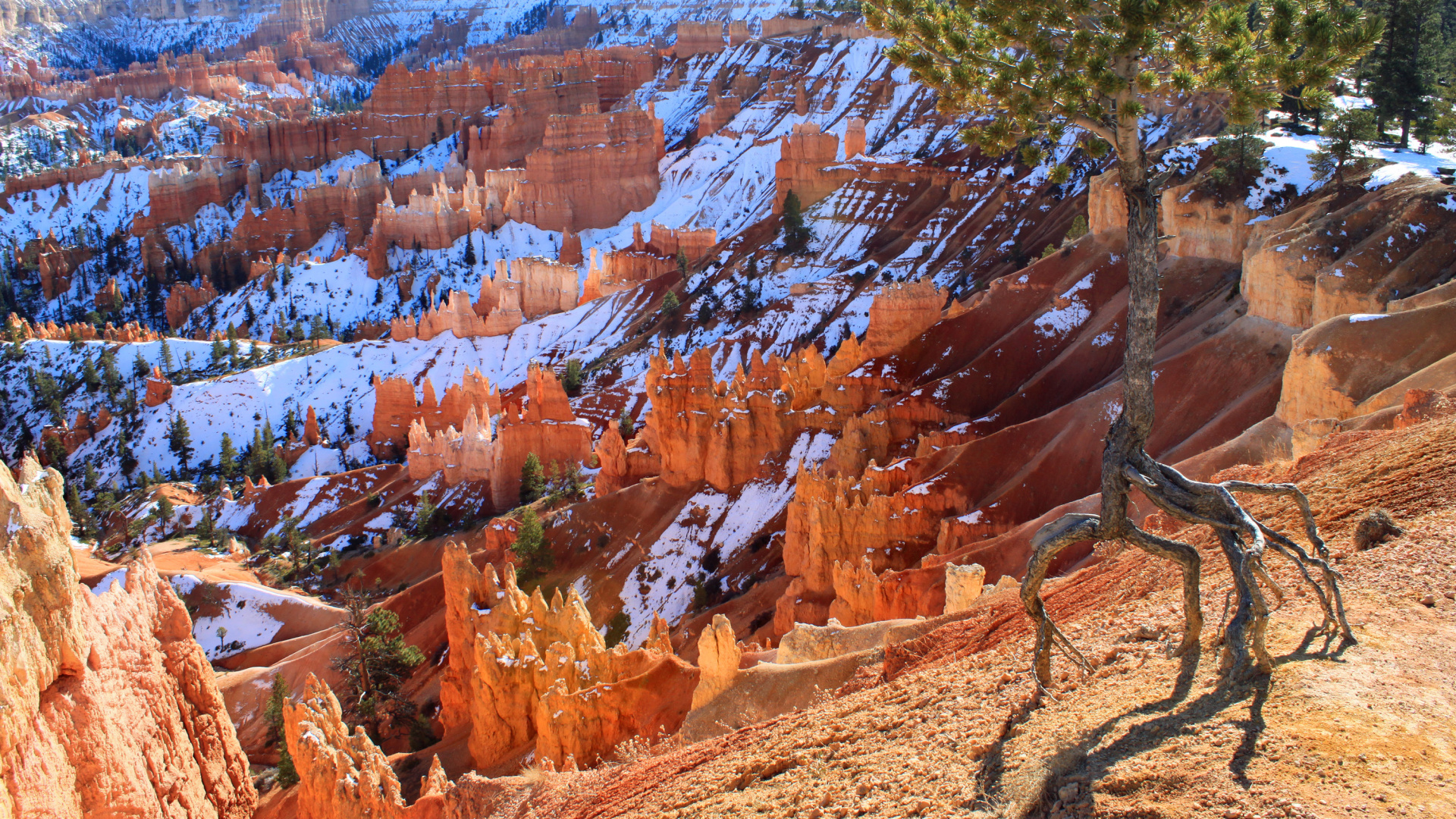Обои национальный парк Брайсканьон, национальный парк, каньон, парк, Точка Вдохновения в разрешении 1920x1080