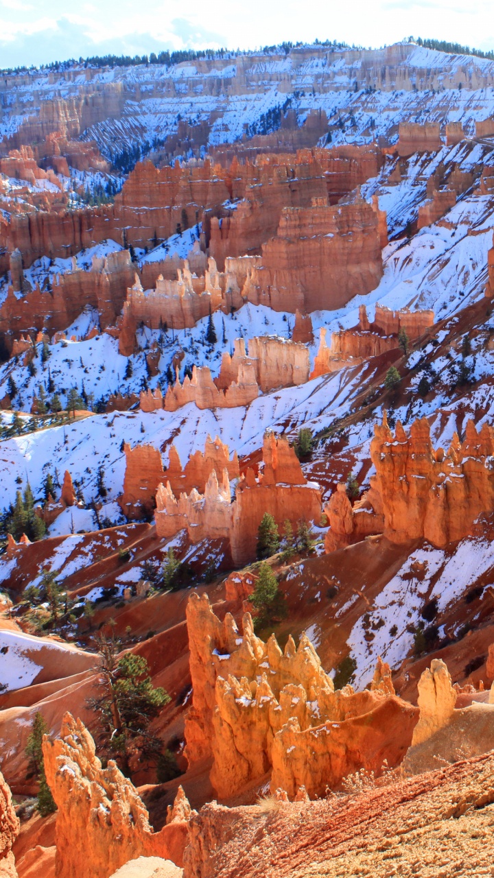 Обои национальный парк Брайсканьон, национальный парк, каньон, парк, Точка Вдохновения в разрешении 720x1280