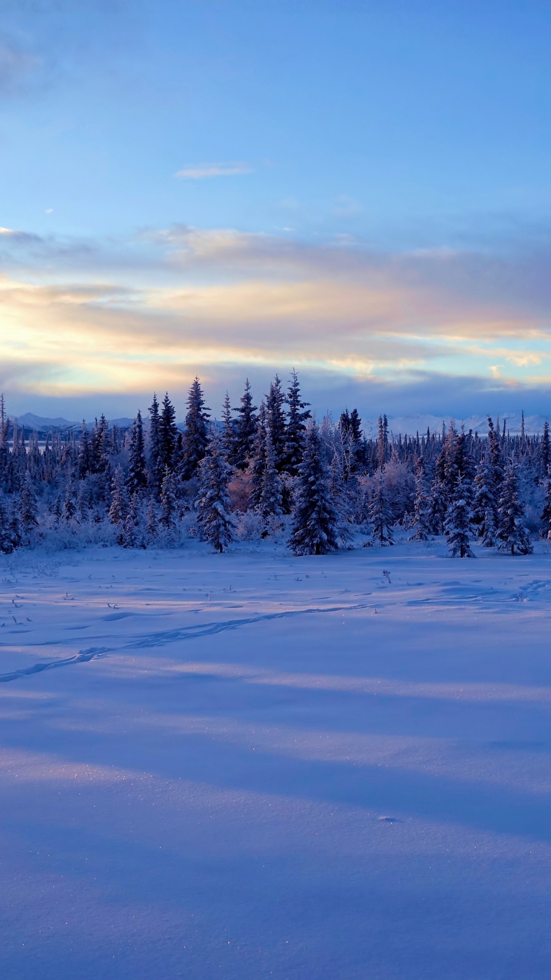 Обои Аляска, снег, зима, облако, замораживание в разрешении 1080x1920