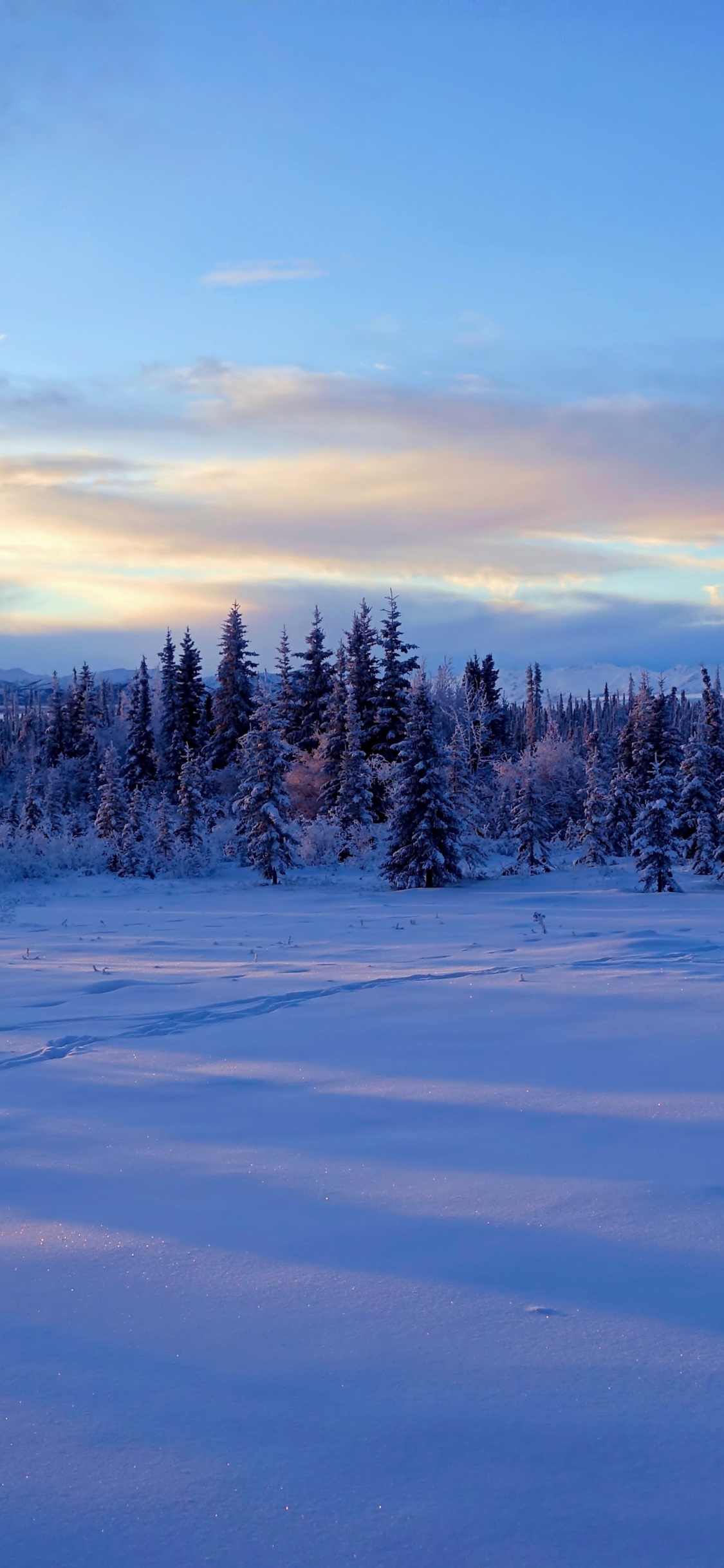 Обои Аляска, снег, зима, облако, замораживание в разрешении 1125x2436