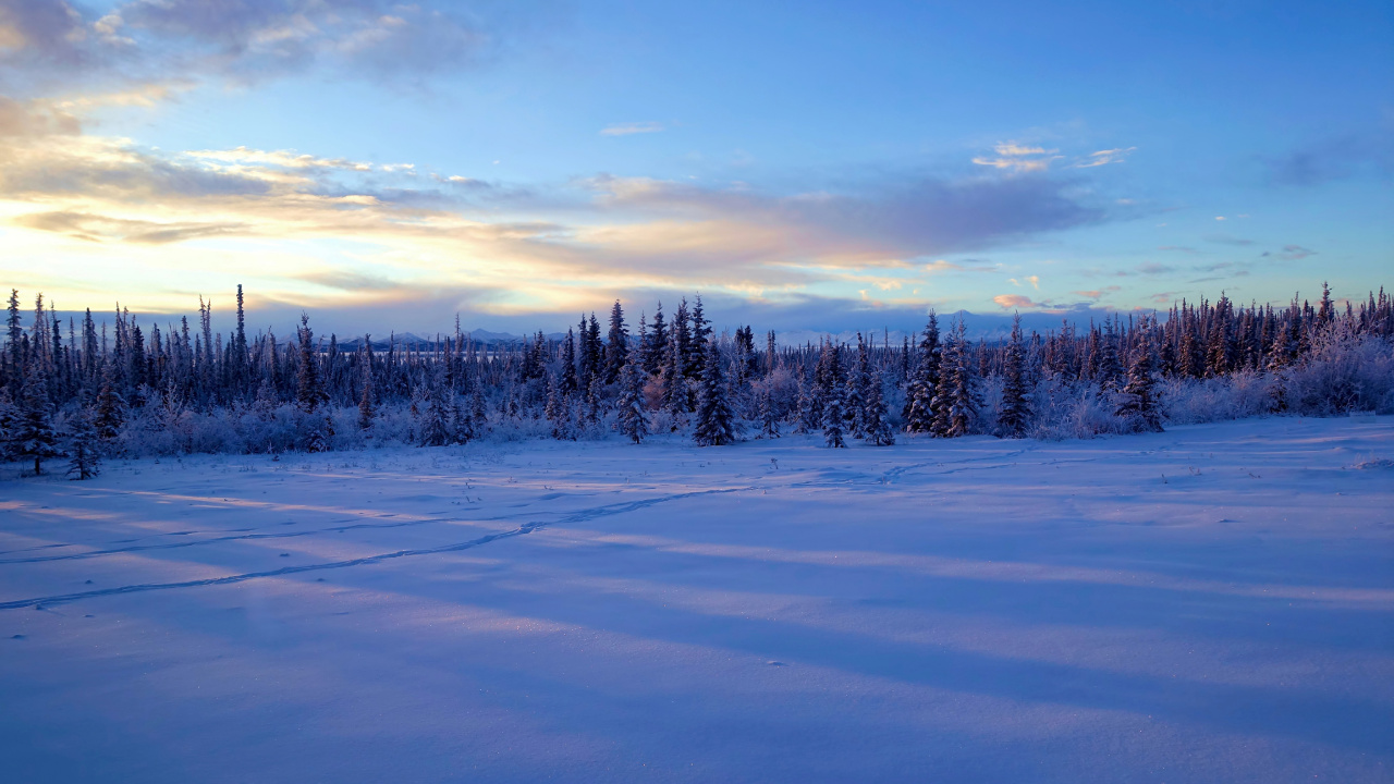 Обои Аляска, снег, зима, облако, замораживание в разрешении 1280x720