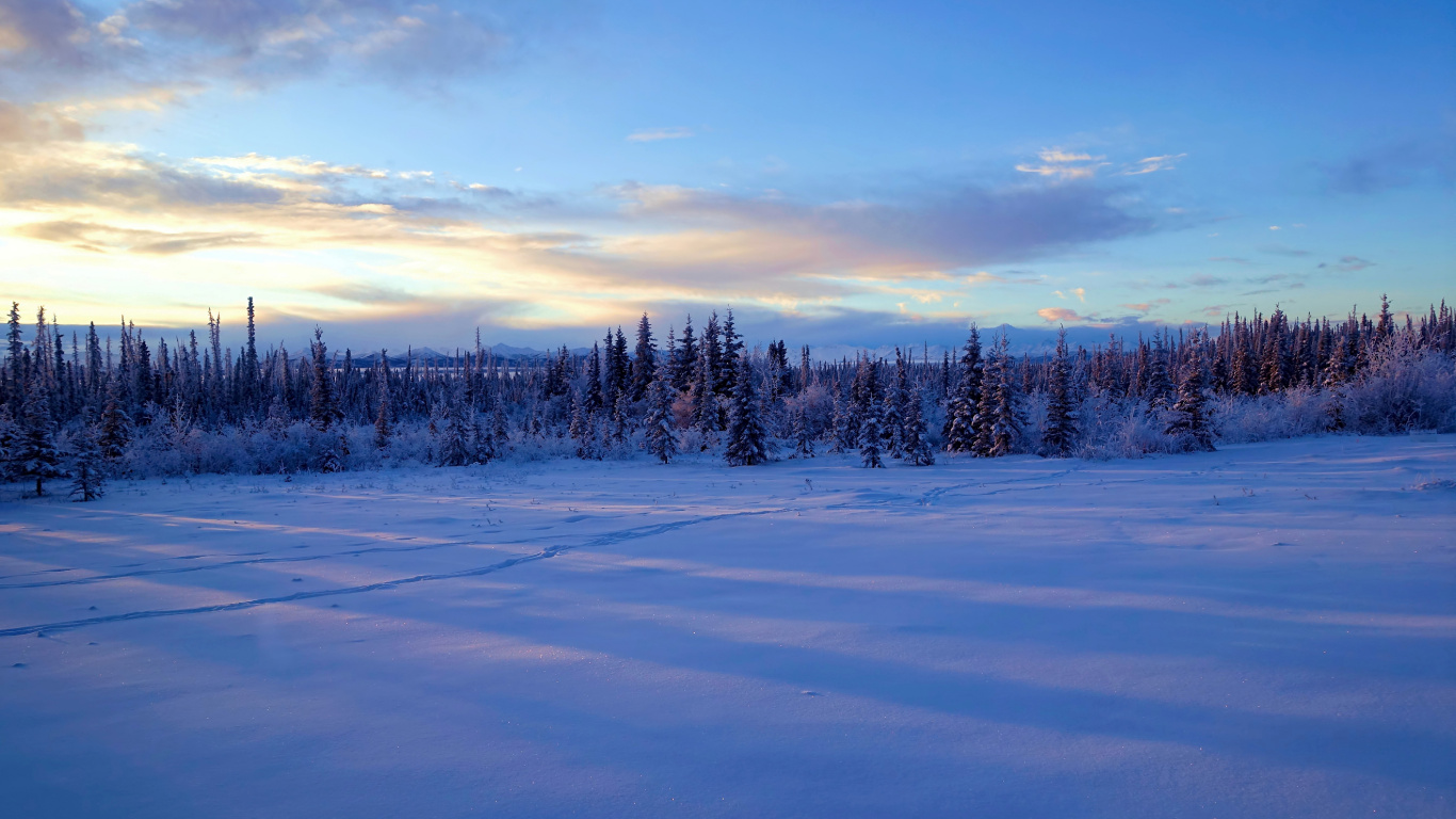 Обои Аляска, снег, зима, облако, замораживание в разрешении 1366x768