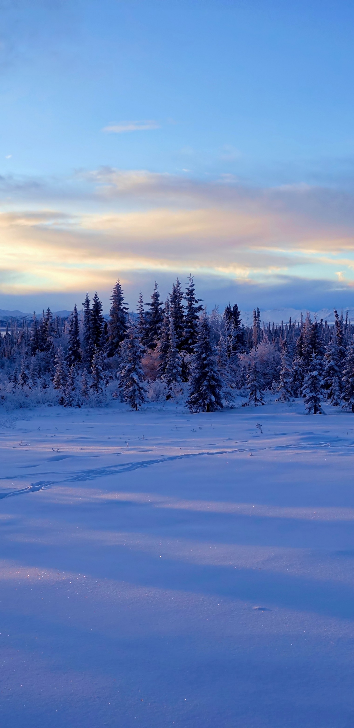 Обои Аляска, снег, зима, облако, замораживание в разрешении 1440x2960