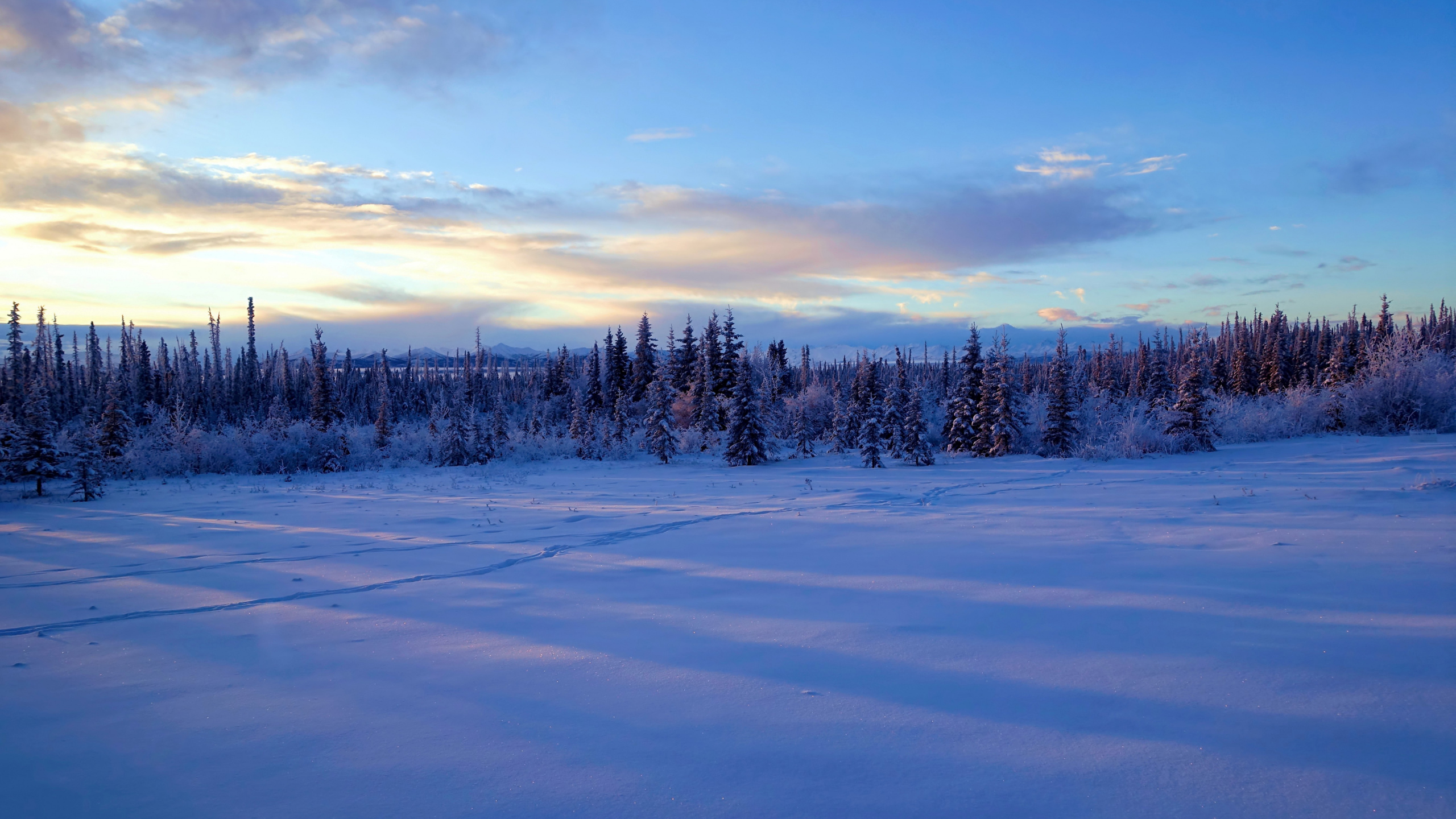 Обои Аляска, снег, зима, облако, замораживание в разрешении 2560x1440