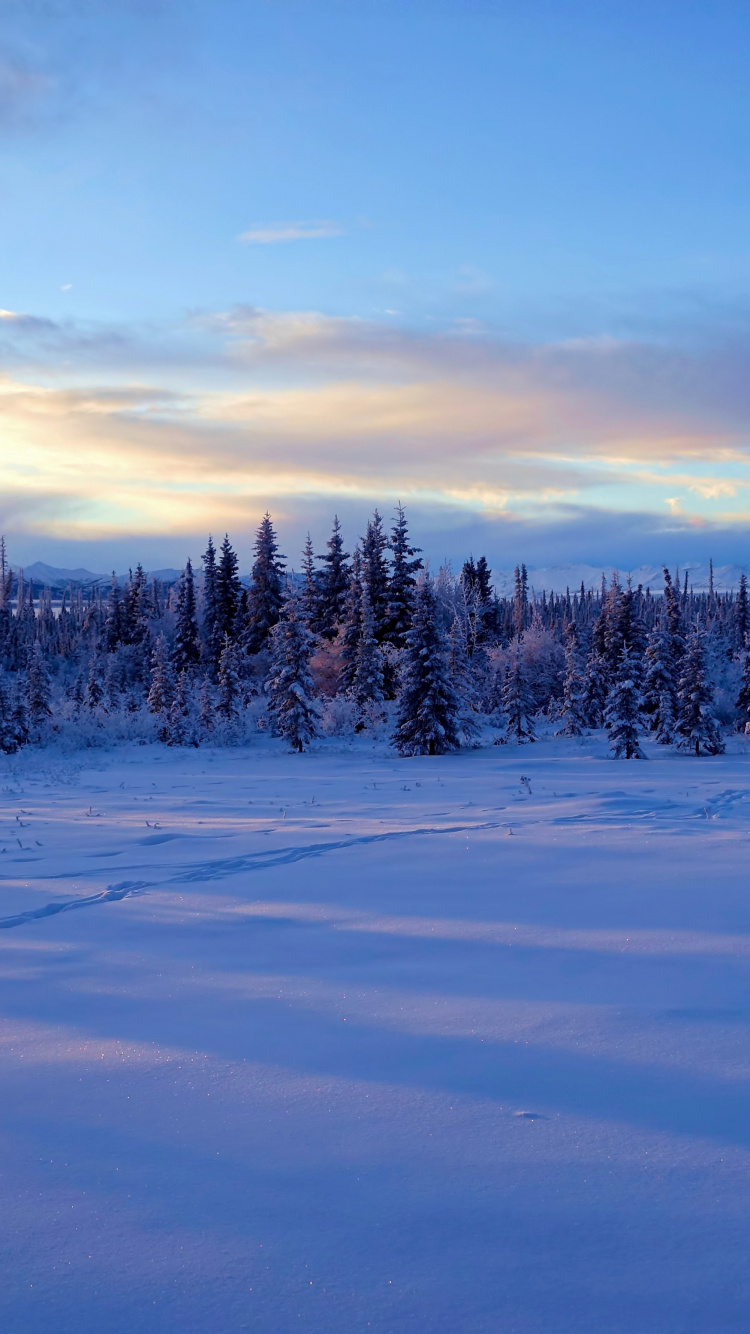Обои Аляска, снег, зима, облако, замораживание в разрешении 750x1334