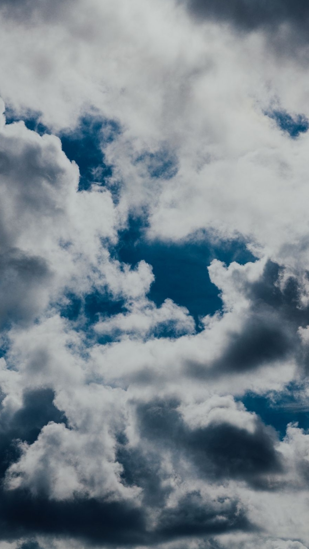 Обои облако, атмосфера, синий, кучевое облако, дерево в разрешении 1080x1920