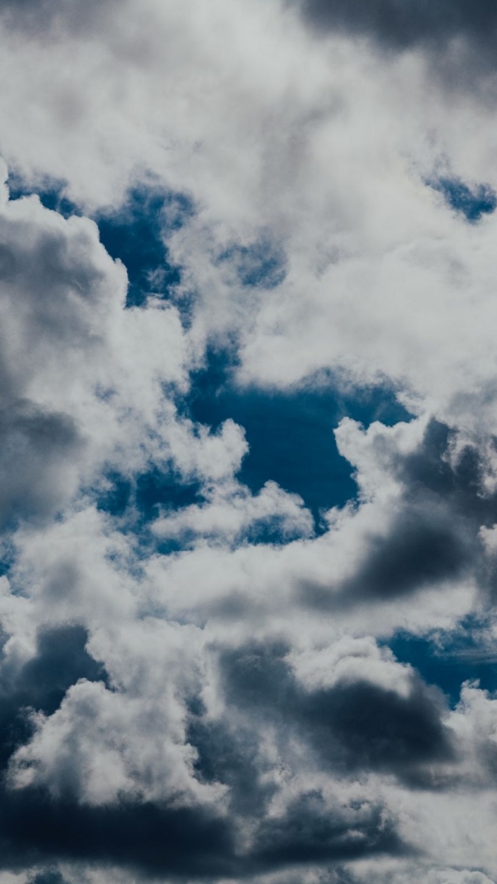 Обои облако, атмосфера, синий, кучевое облако, дерево в разрешении 720x1280