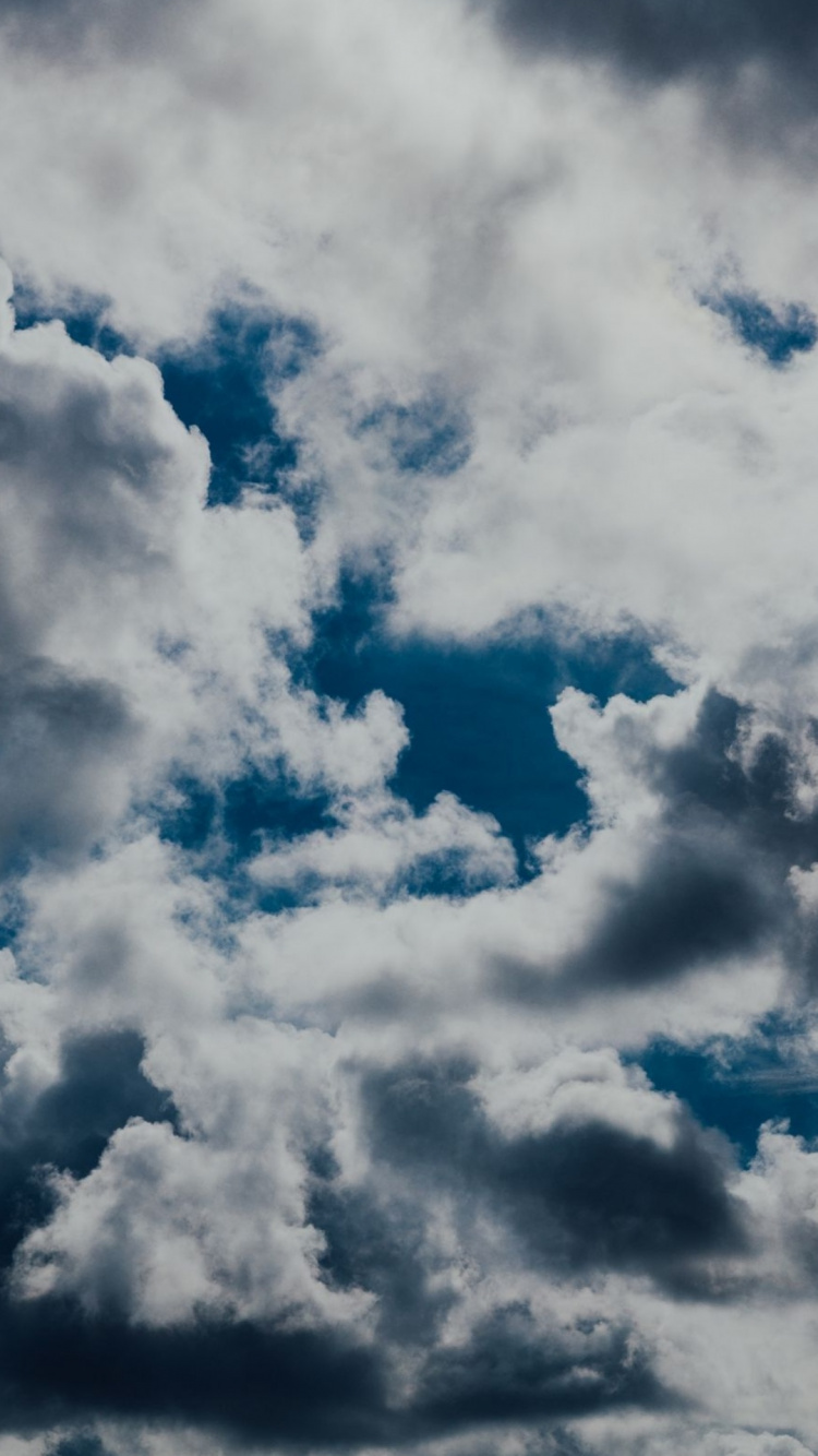 Обои облако, атмосфера, синий, кучевое облако, дерево в разрешении 750x1334