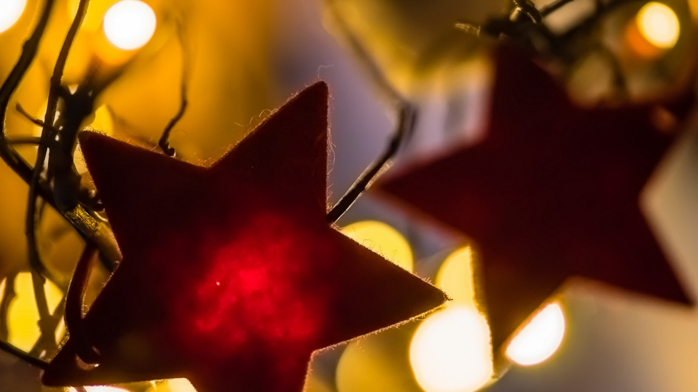 Обои лист, свет, освещение, ветвь, крупный план в разрешении 1366x768