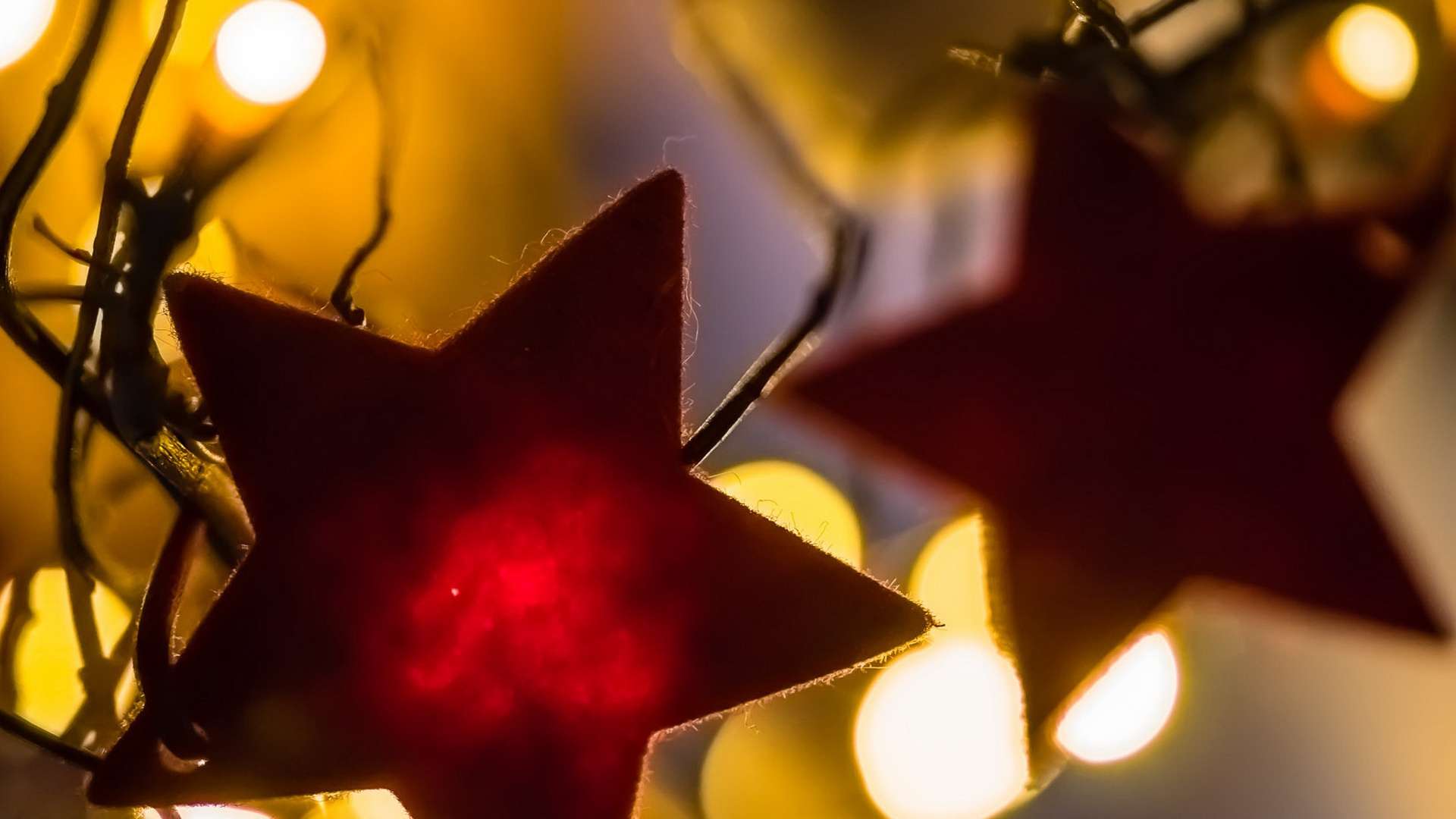 Обои лист, свет, освещение, ветвь, крупный план в разрешении 1920x1080