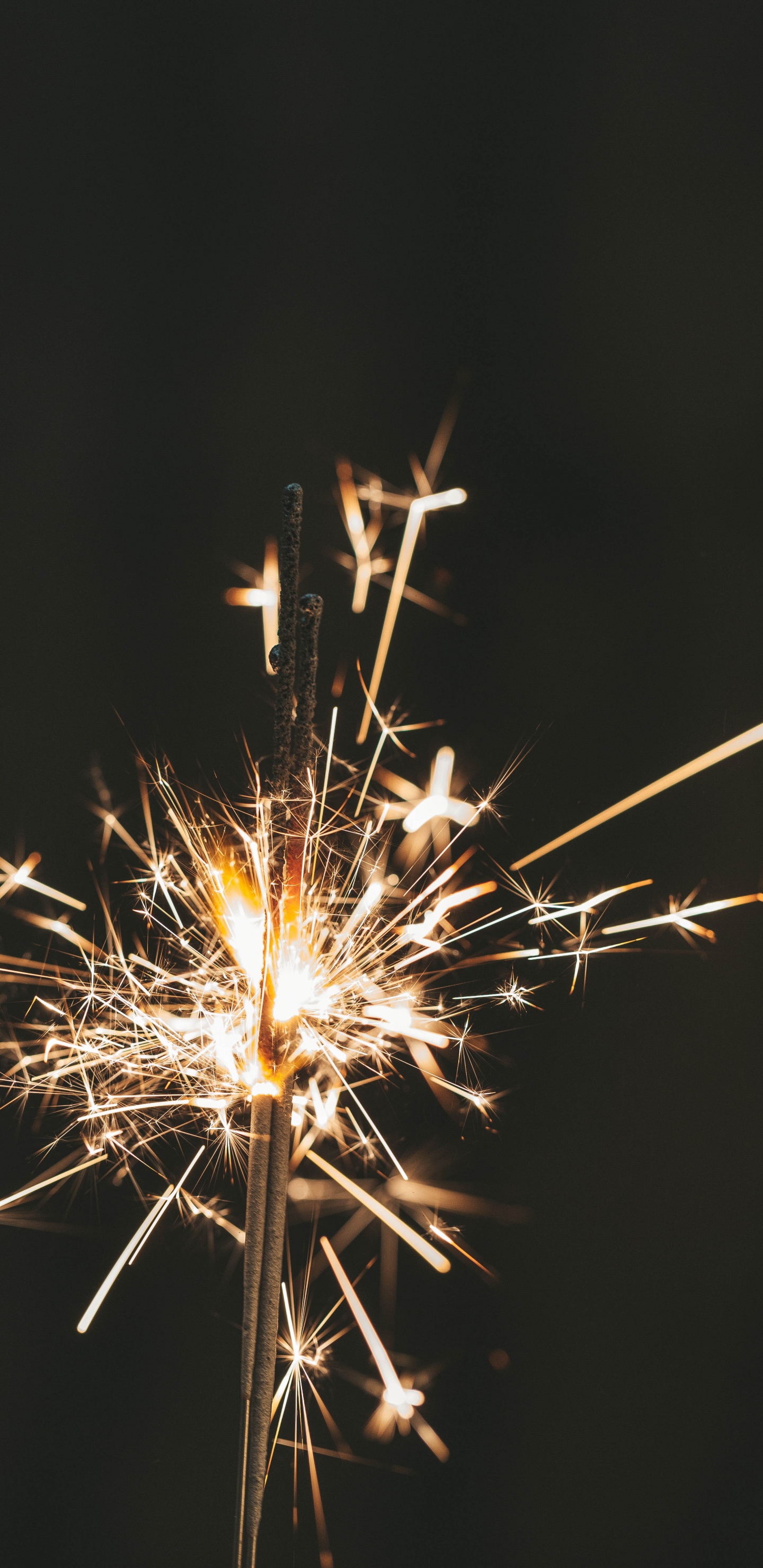 Обои день нового года, полночь, взрыв, ночь, осветительная арматура в разрешении 1440x2960