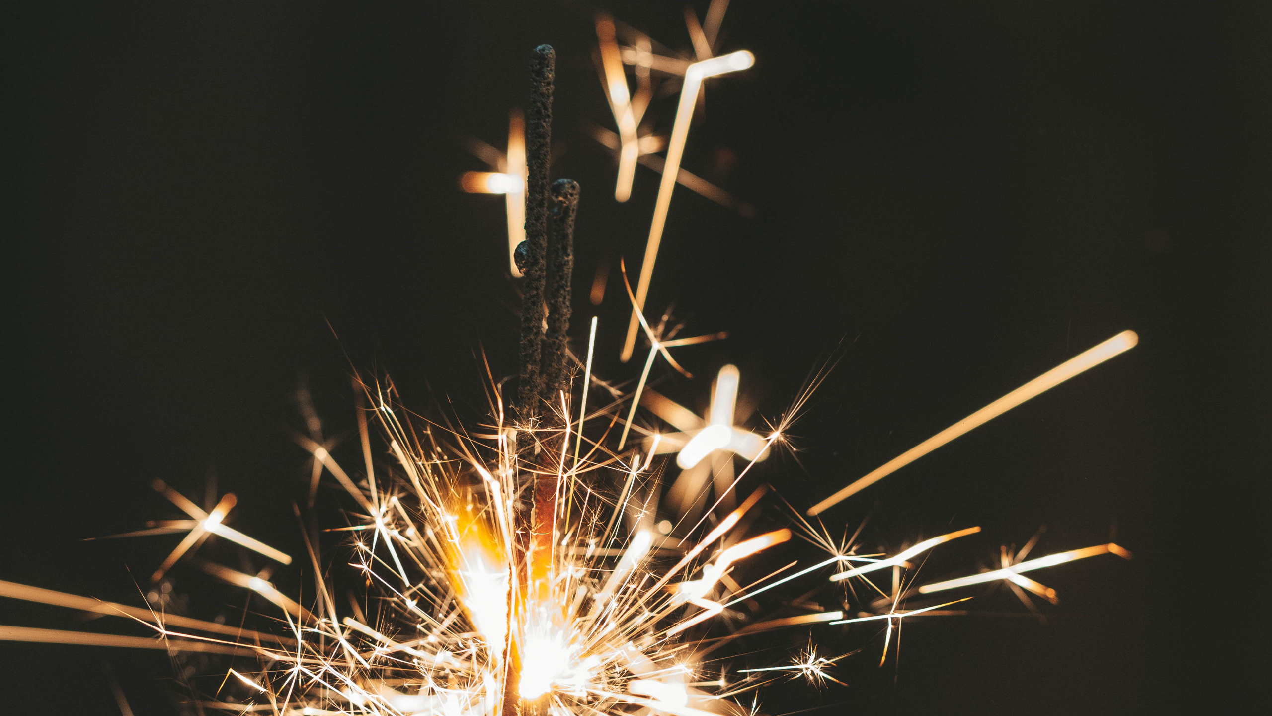 Обои день нового года, полночь, взрыв, ночь, осветительная арматура в разрешении 2560x1440