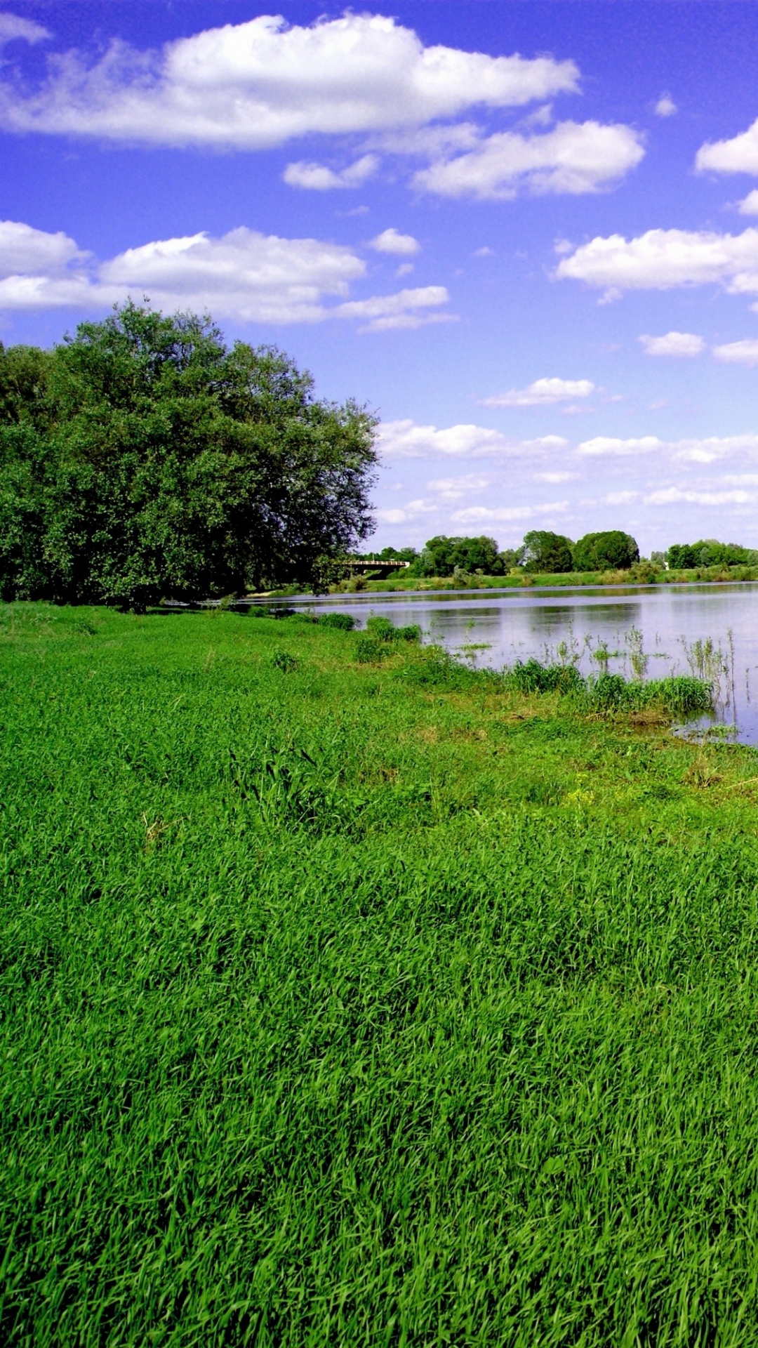 Обои природа, растительность, вода, природный заповедник, гидроресурсы в разрешении 1080x1920