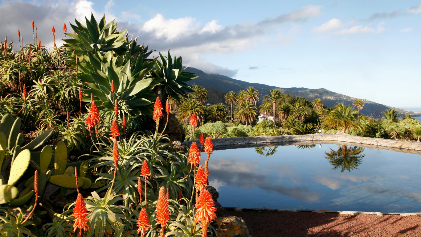 Обои гора, растительность, растение, дерево, озеро в разрешении 1366x768