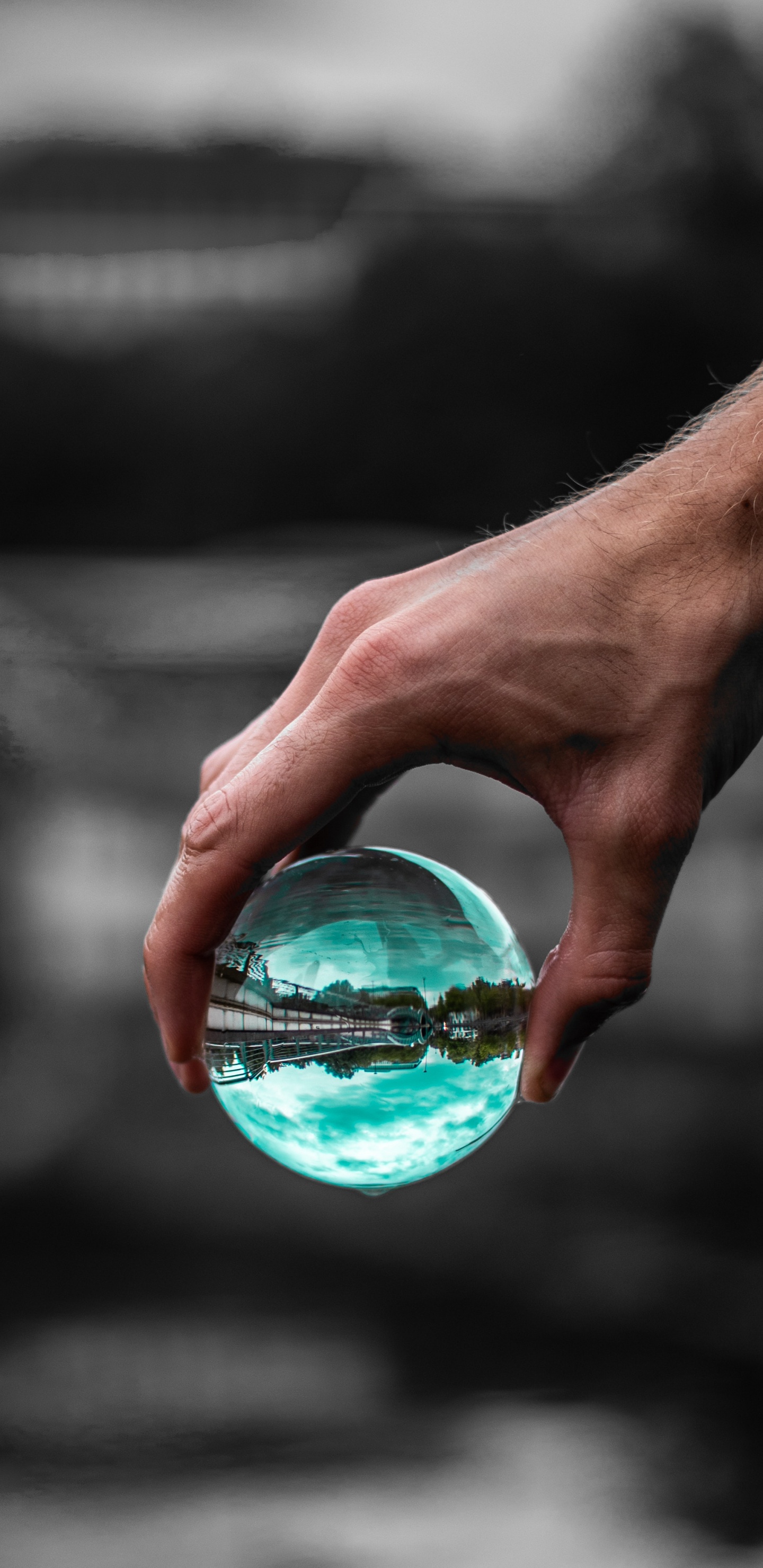 Обои стекло, вода, синий, зеленый, отражение в разрешении 1440x2960