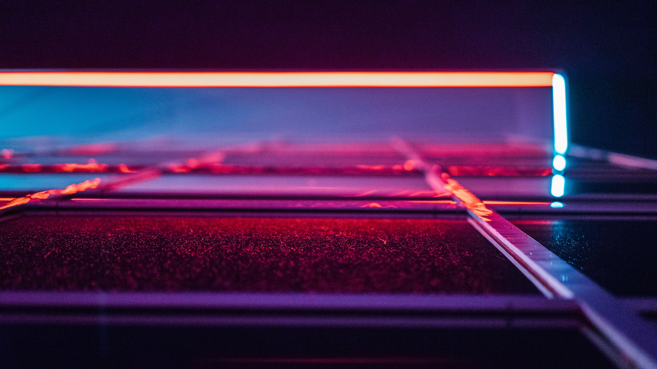 Обои неон, синий, красный цвет, пурпур, Фиолетовый в разрешении 2560x1440