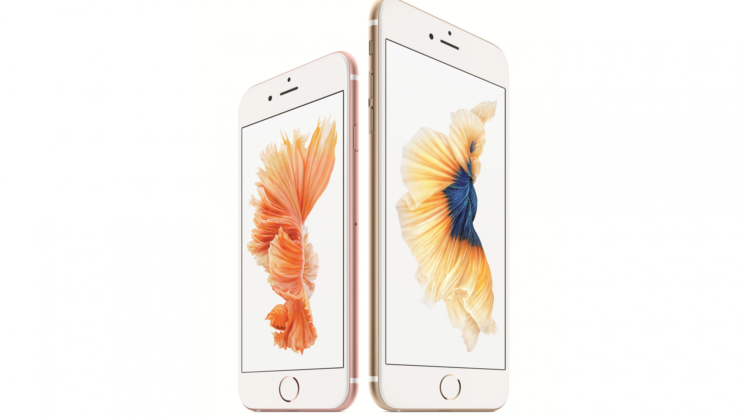 Обои apple, смартфон, гаджет, портативное устройство коммуникации, коммуникационное устройство в разрешении 2560x1440