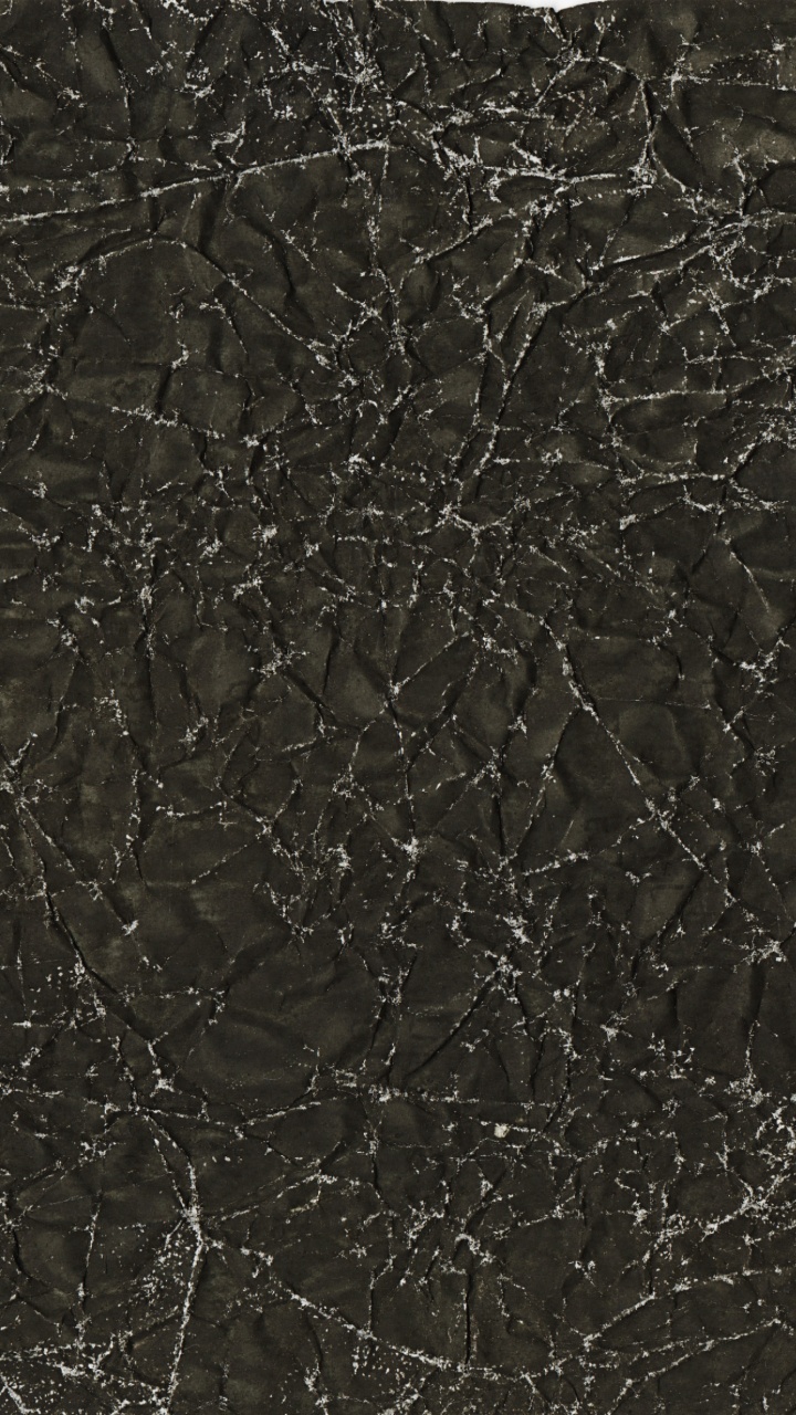 Обои ветвь, текстура, монохромный, черный, небо в разрешении 720x1280