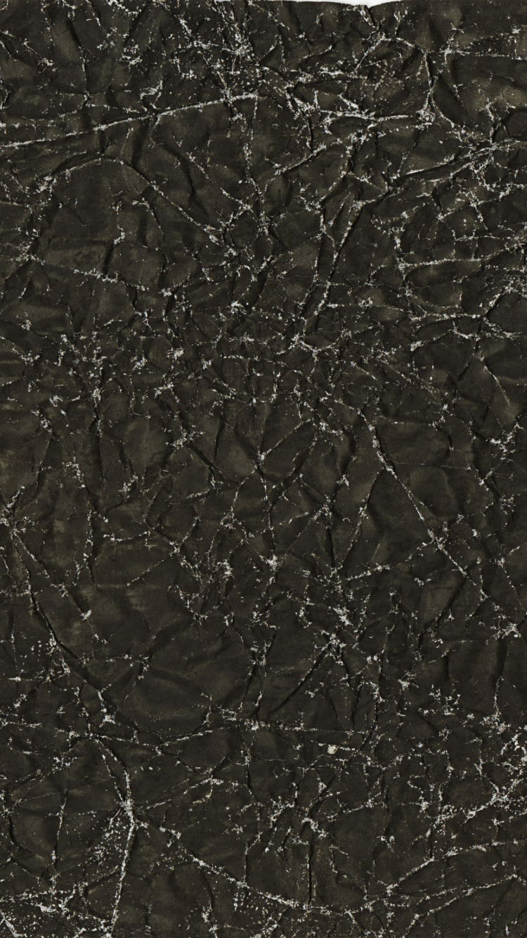 Обои ветвь, текстура, монохромный, черный, небо в разрешении 750x1334