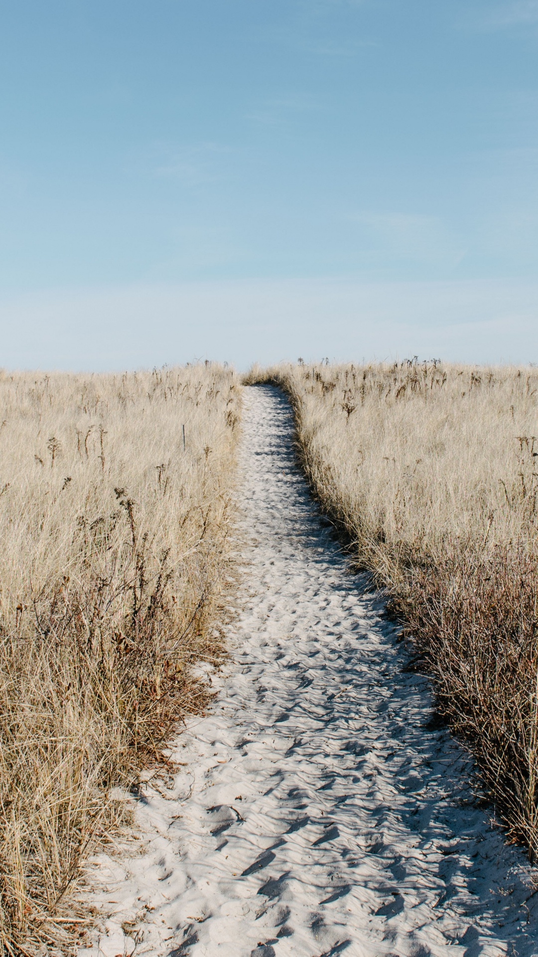 Обои природный ландшафт, дорога, семейство травы, сенокосное угодье, экорегион в разрешении 1080x1920