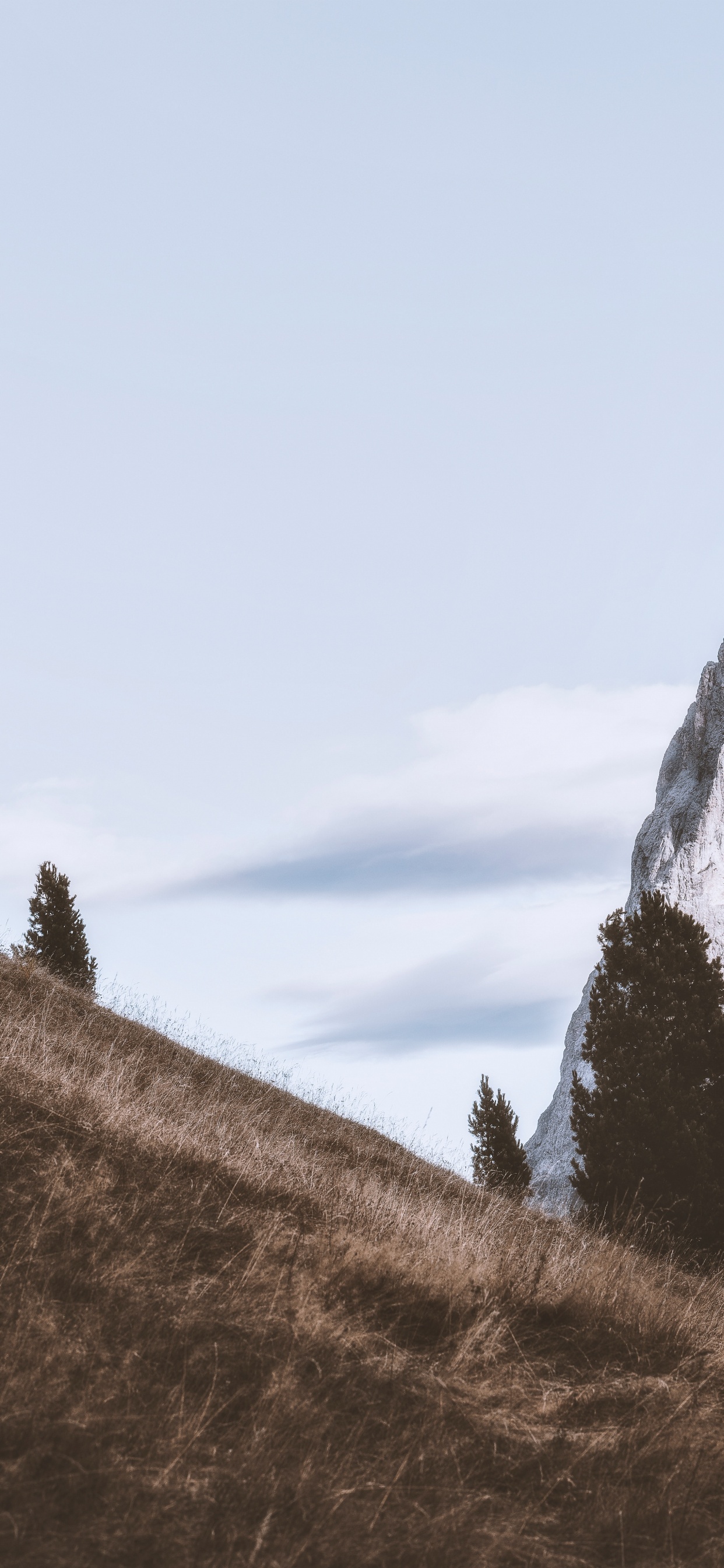 Обои гора, горный рельеф, дерево, холм, природный ландшафт в разрешении 1242x2688