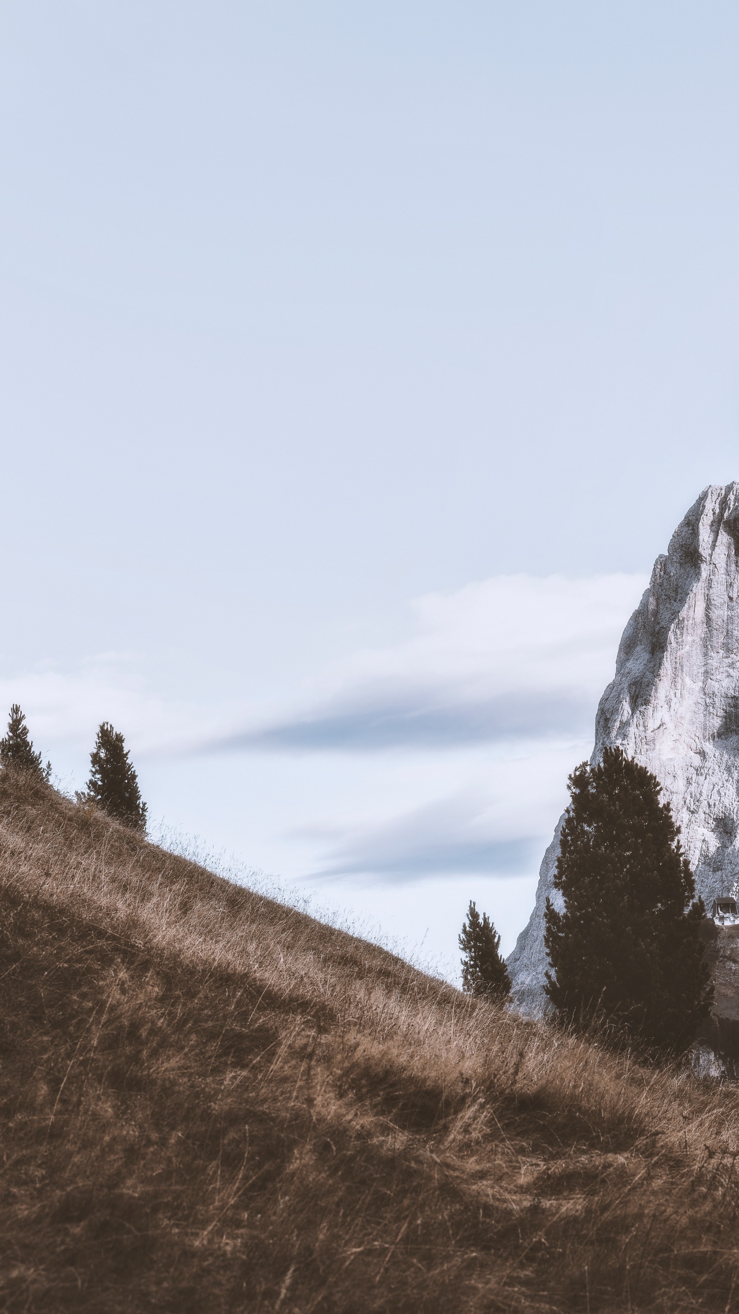 Обои гора, горный рельеф, дерево, холм, природный ландшафт в разрешении 1440x2560