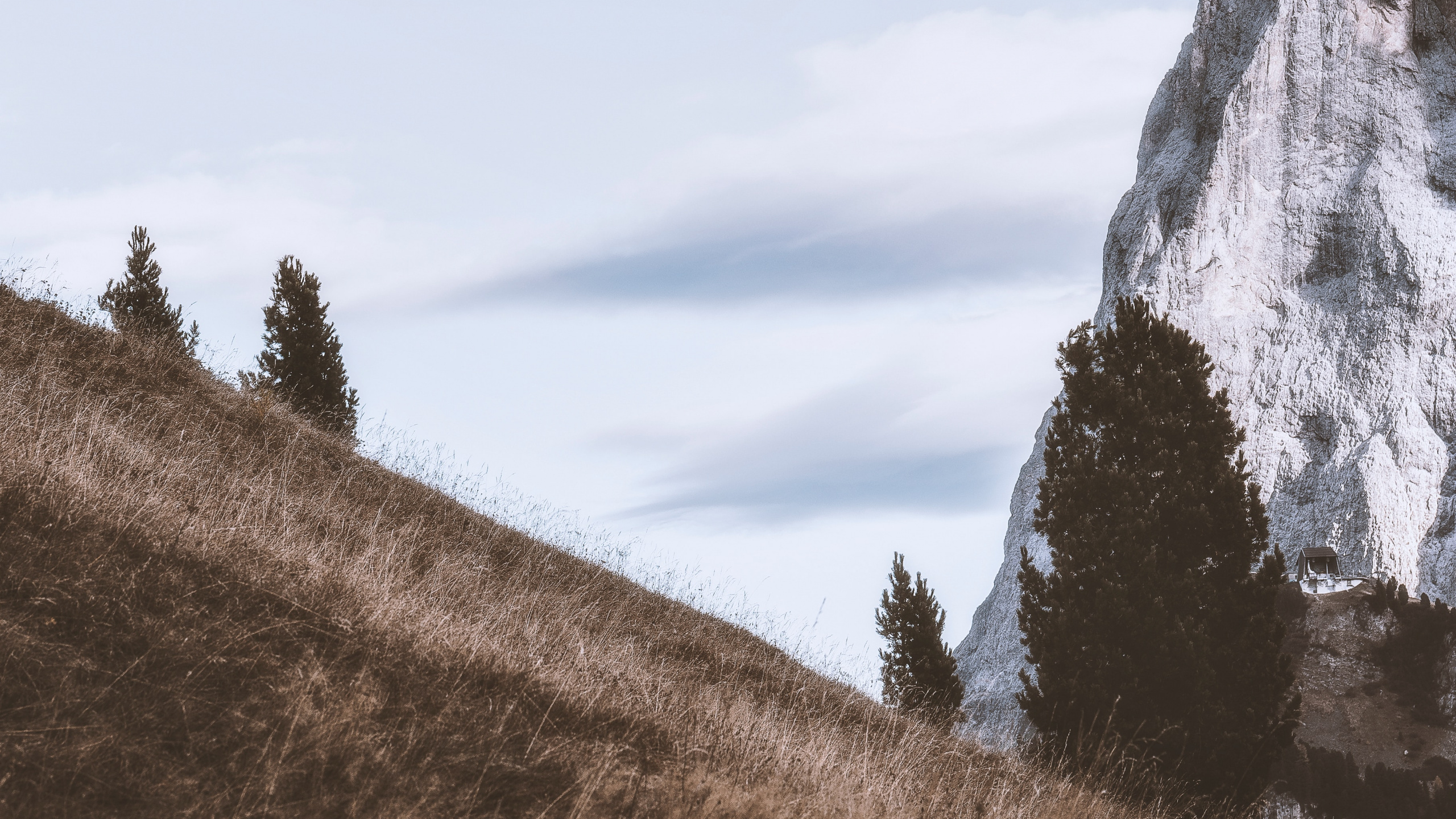 Обои гора, горный рельеф, дерево, холм, природный ландшафт в разрешении 2560x1440