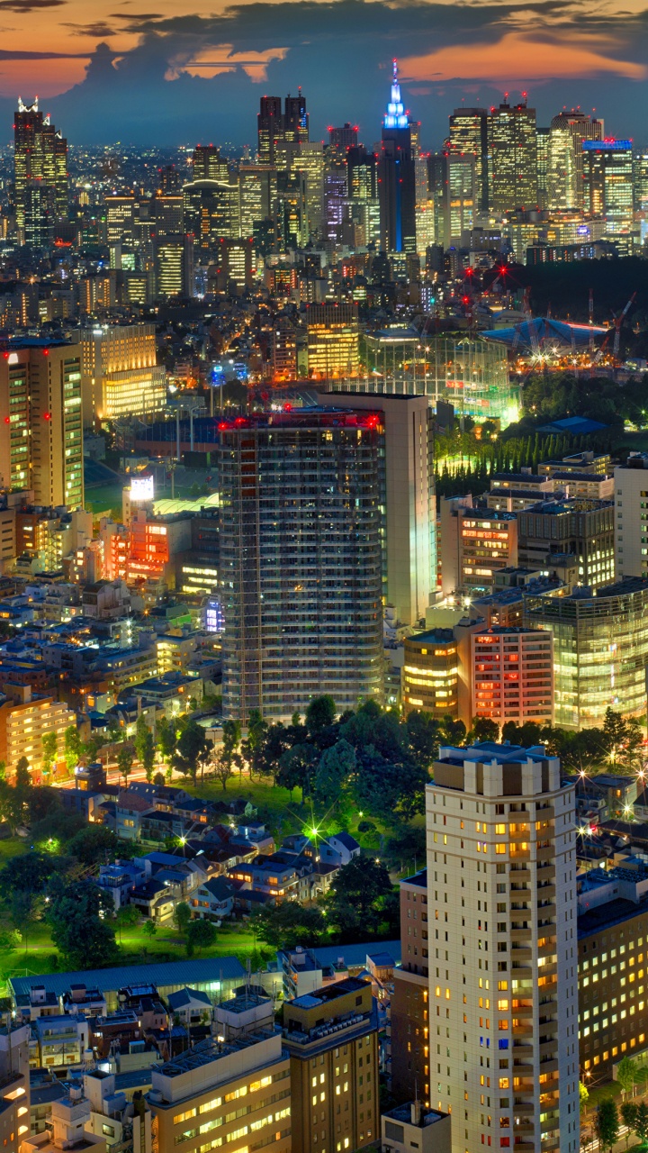 Обои Токио, город, городской пейзаж, городской район, метрополия в разрешении 720x1280