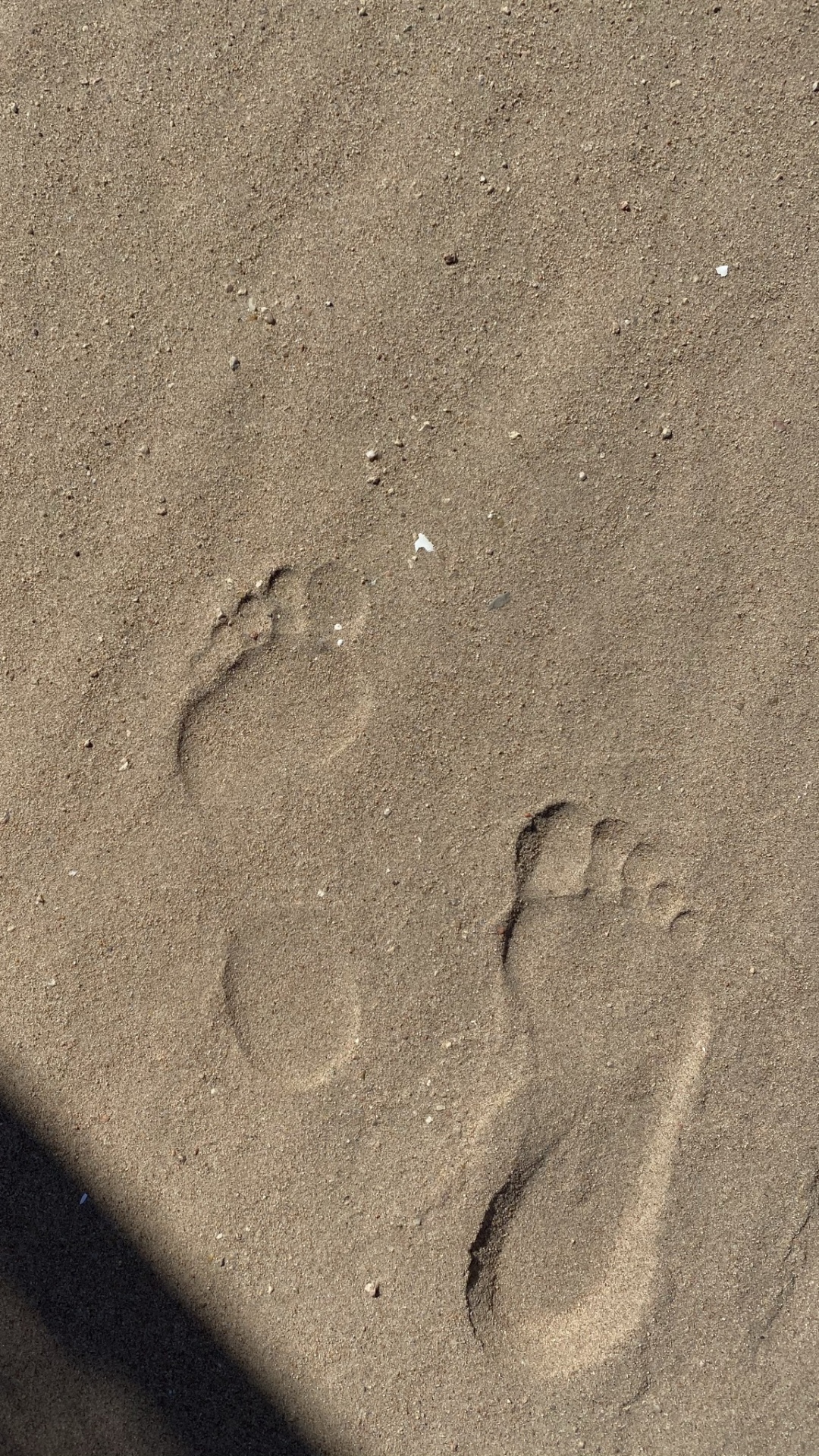 Обои песок, древесина, серый цвет, автомобильные шины, след в разрешении 1080x1920