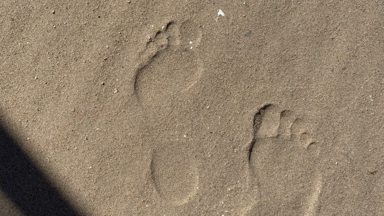 Обои песок, древесина, серый цвет, автомобильные шины, след в разрешении 1280x720