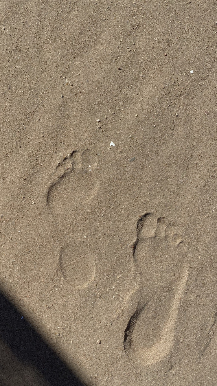 Обои песок, древесина, серый цвет, автомобильные шины, след в разрешении 750x1334