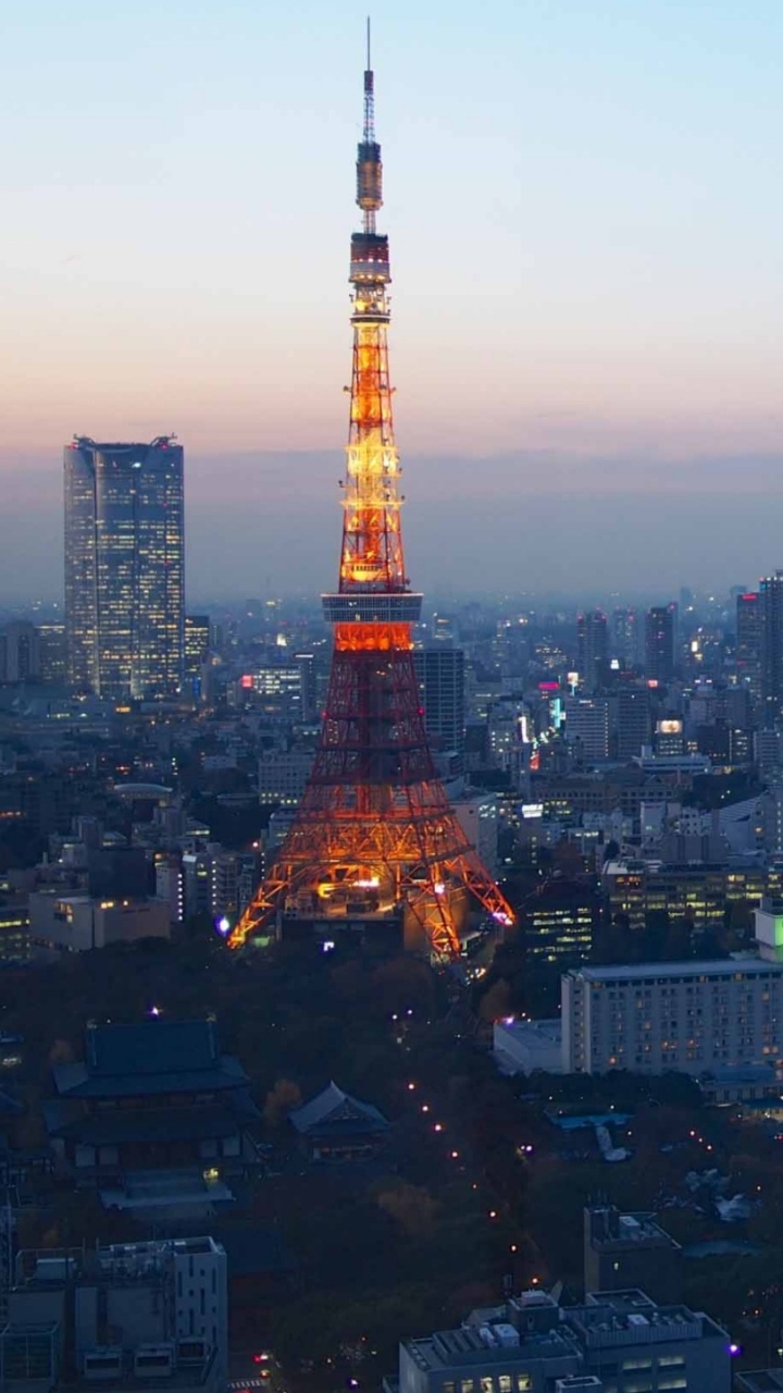 Обои токийская башня, вышка, городской пейзаж, город, городской район в разрешении 720x1280