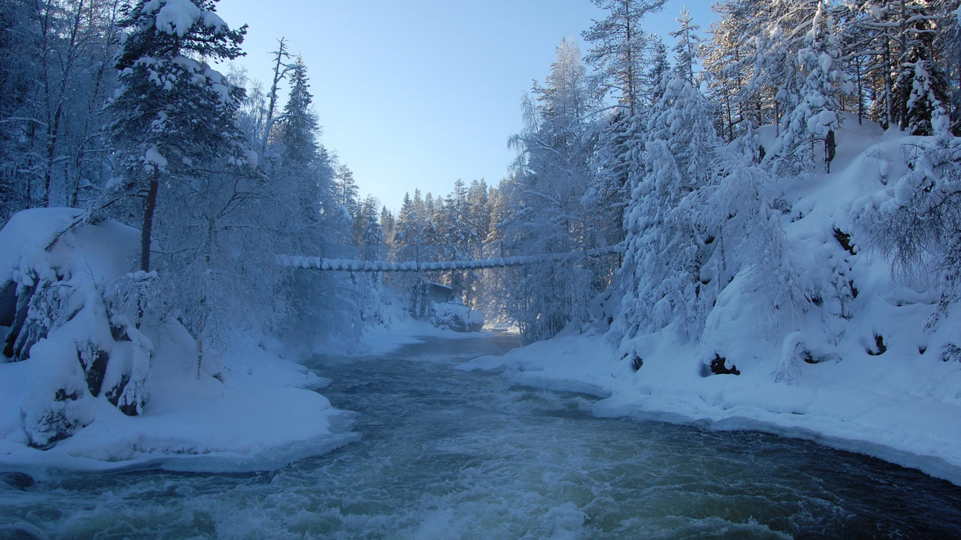 Обои парк, снег, зима, мороз, замораживание в разрешении 1366x768
