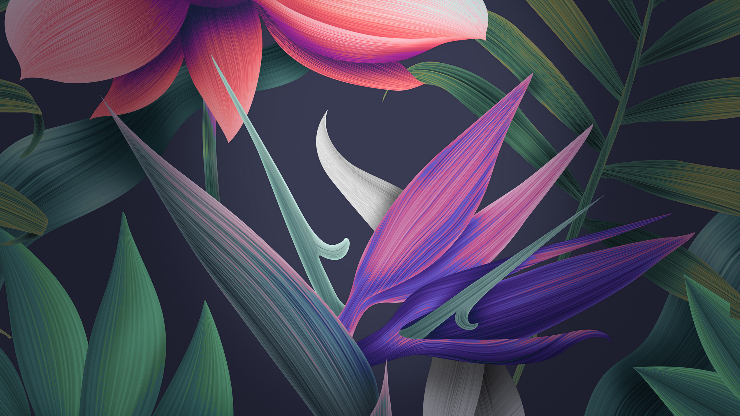 Обои Huawei Mate 10 Pro, huawei mate 10 lite, huawei mate 10 porsche дизайн, Huawei, смартфон в разрешении 2560x1440