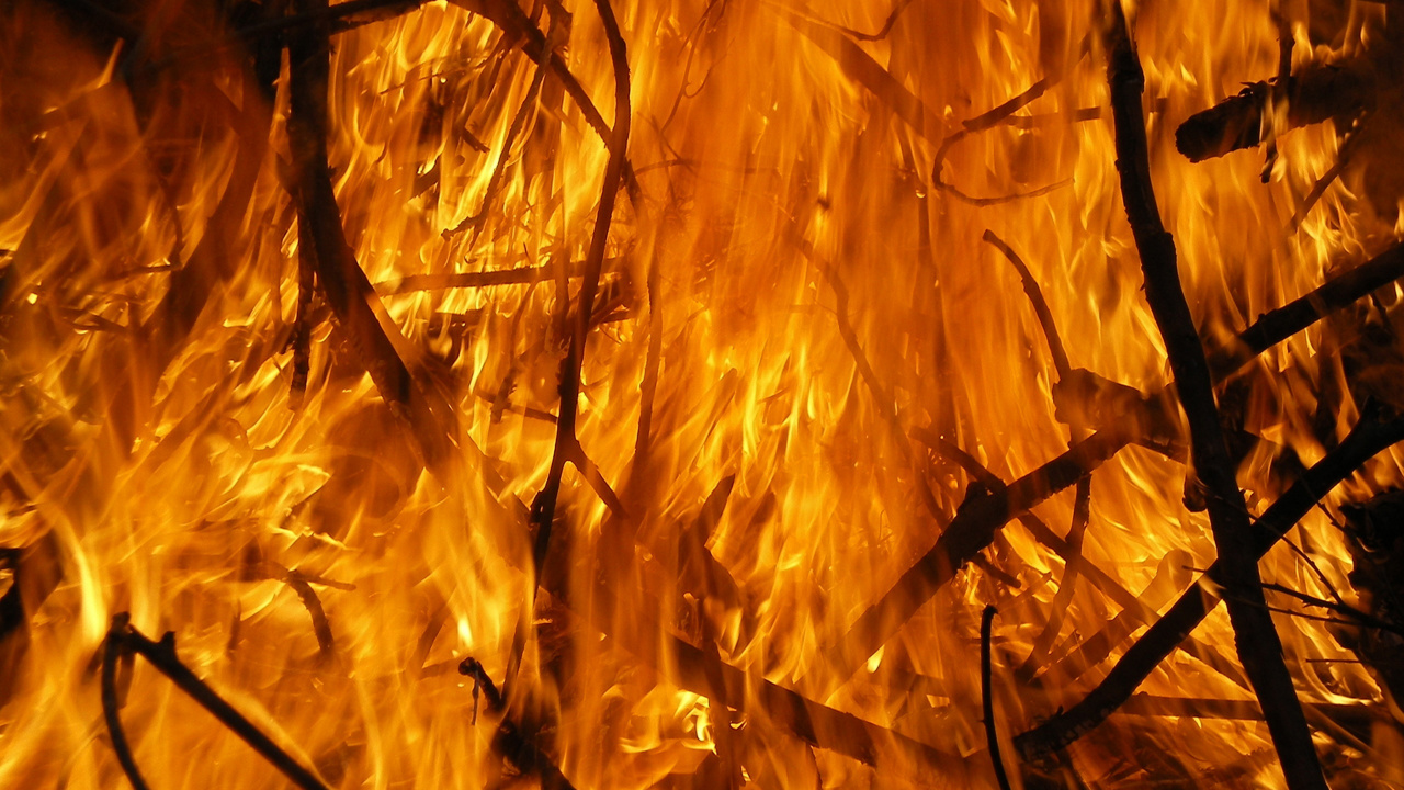 Обои пламя, огонь, пожар, ветвь, древесина в разрешении 1280x720