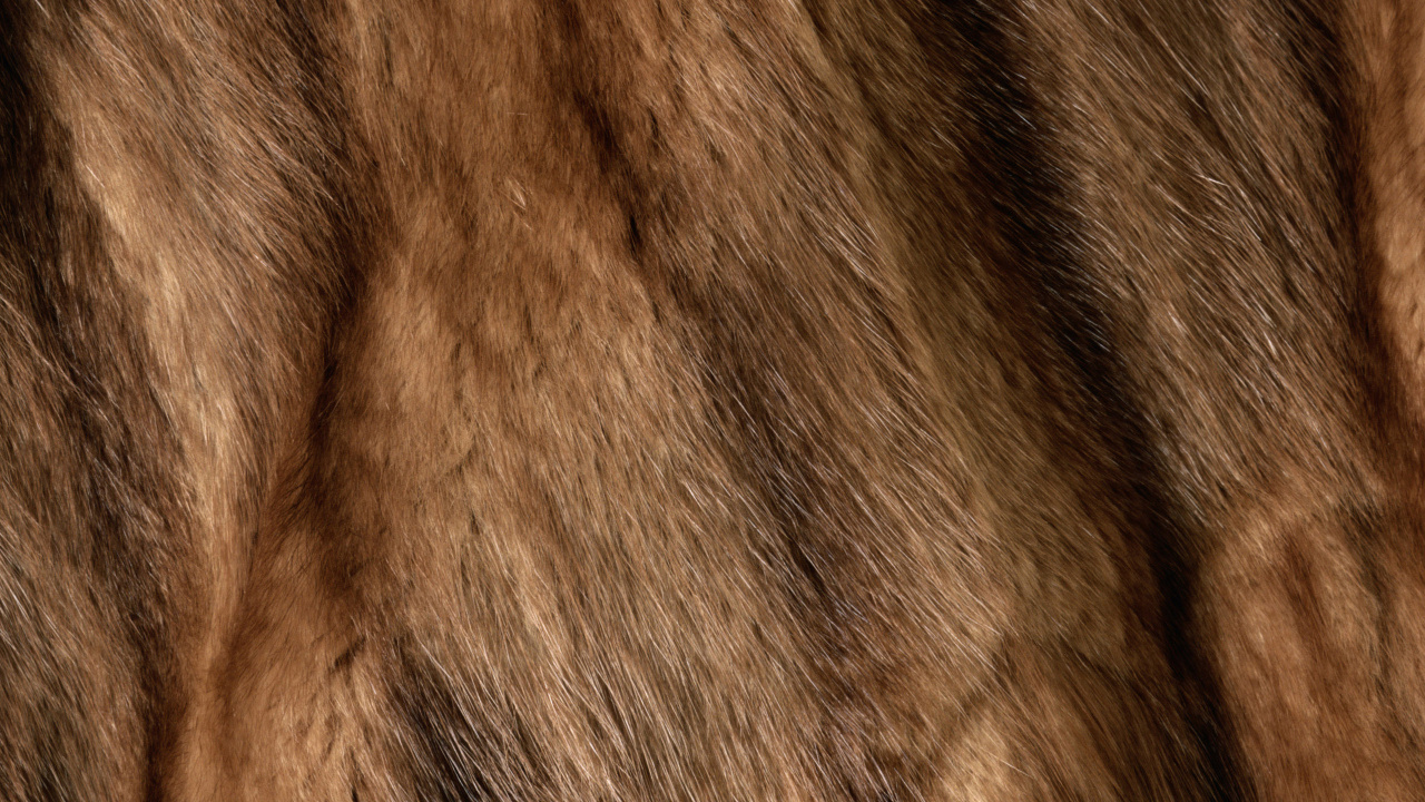 Обои меховая одежда, мех, искусственный мех, одежда, волосы в разрешении 1280x720