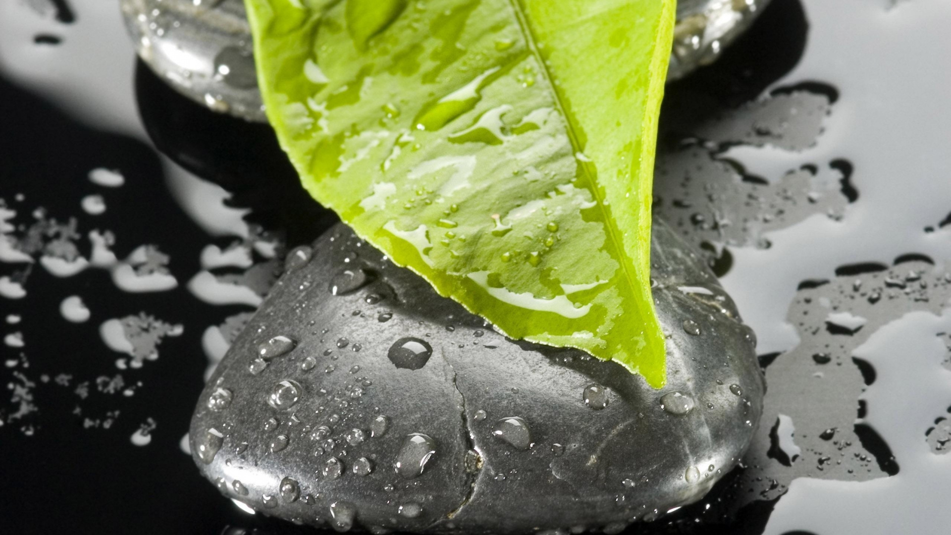 Обои дзен, вода, падение, макросъемка, капли в разрешении 1920x1080