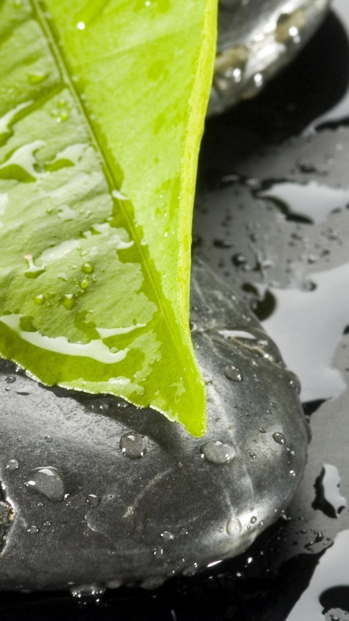 Обои дзен, вода, падение, макросъемка, капли в разрешении 720x1280